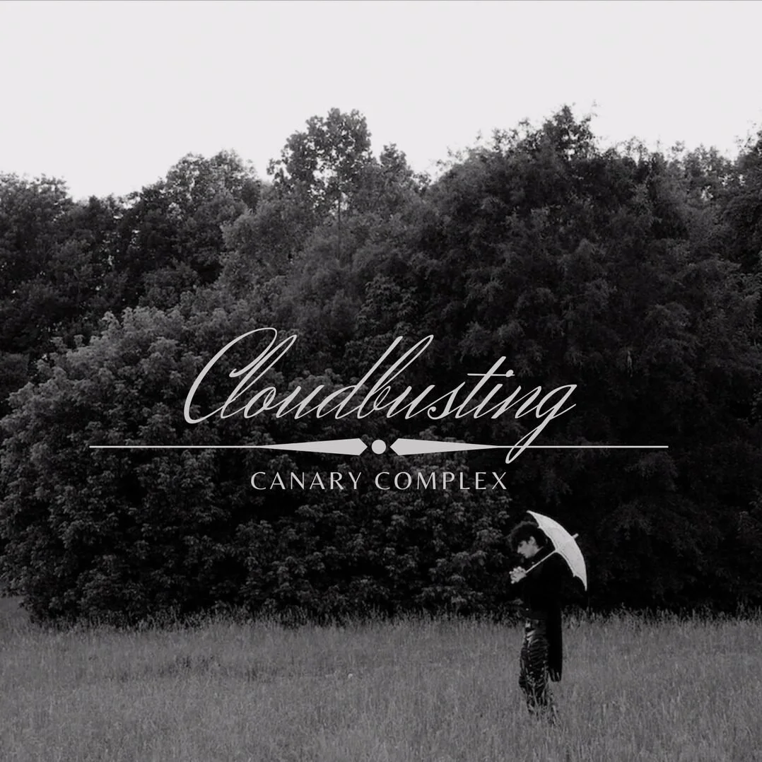 image of the art for "cloudbusting" by canary complex