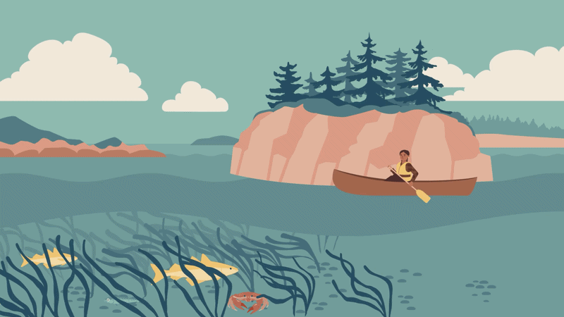 Public Outreach 2D Animation