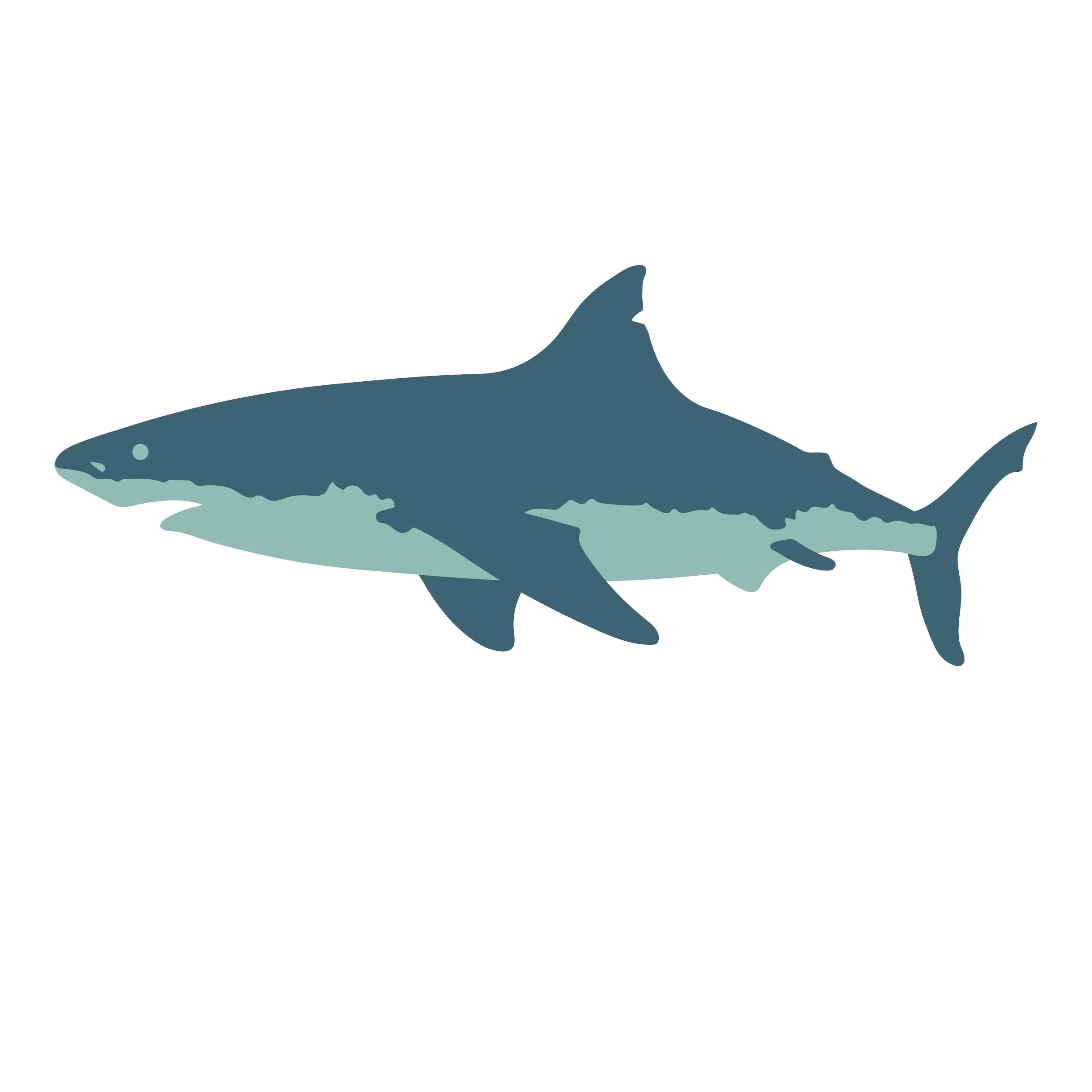 V01_shark_icon.png