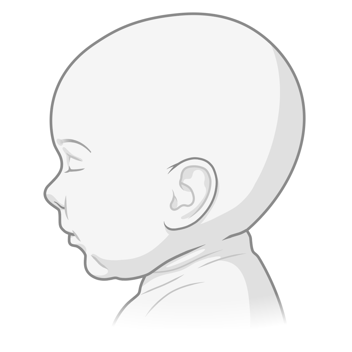 babyLateralHeadHairless.png