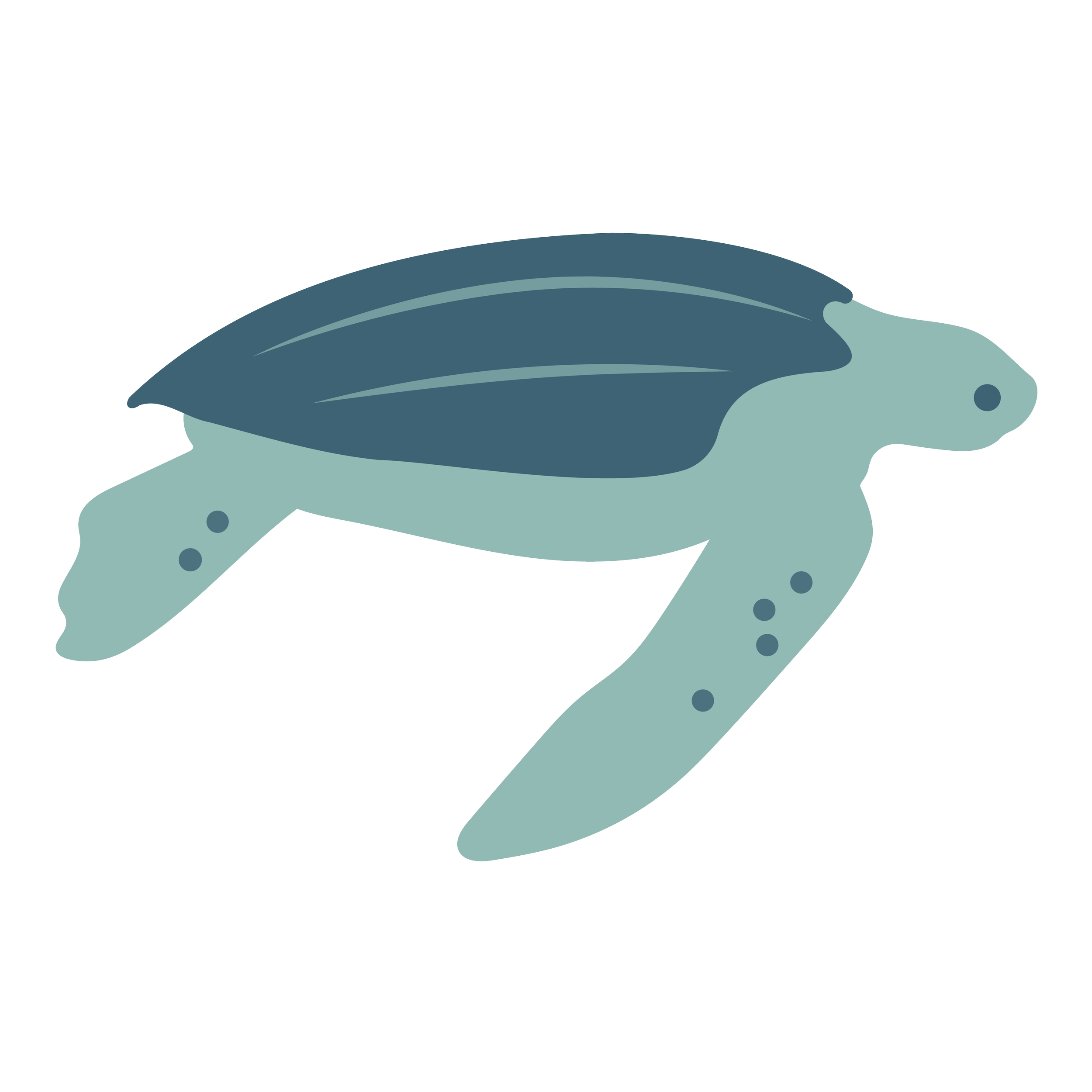 V01_turtle_icon.png