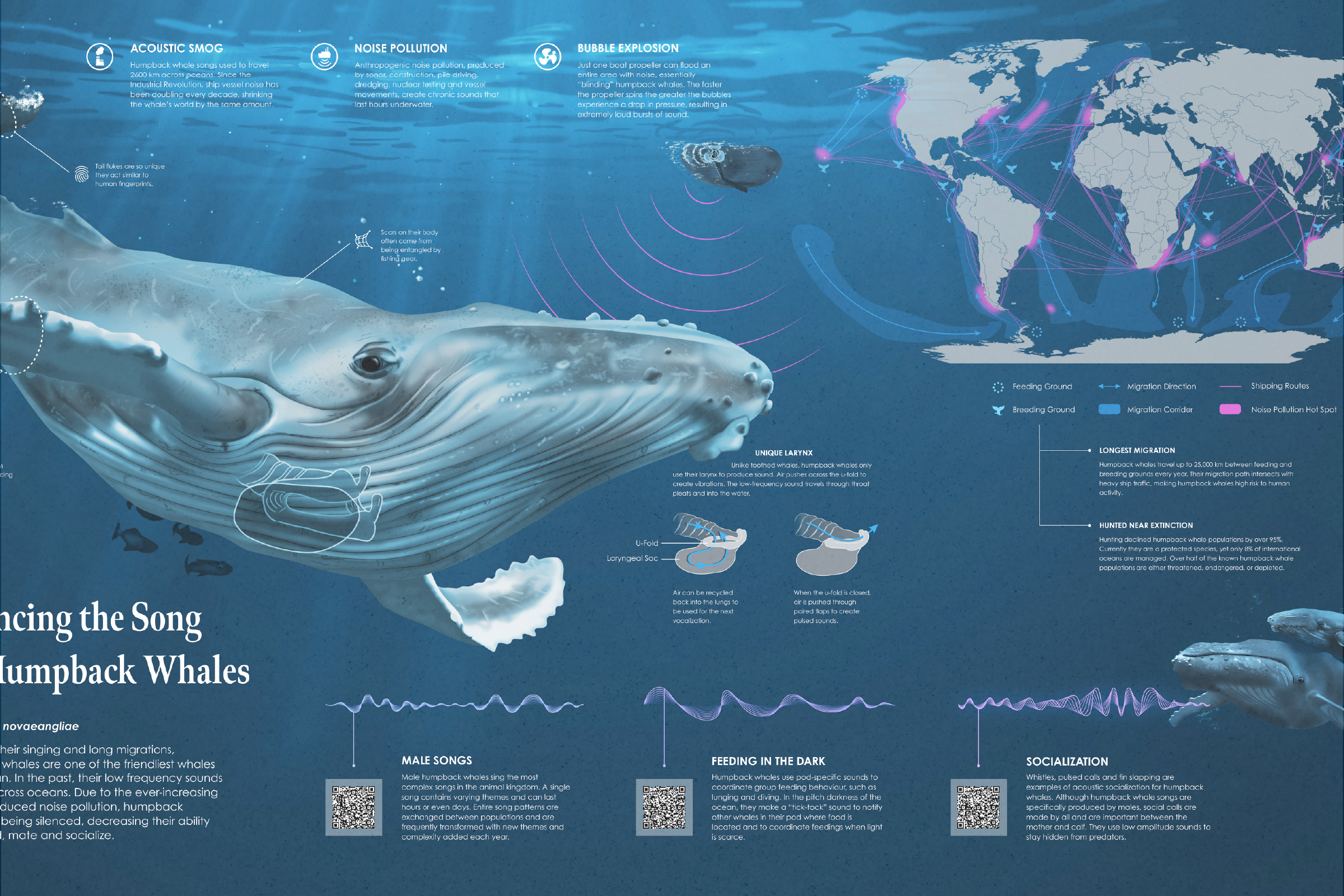 Silencing the Song of Humpback Whales