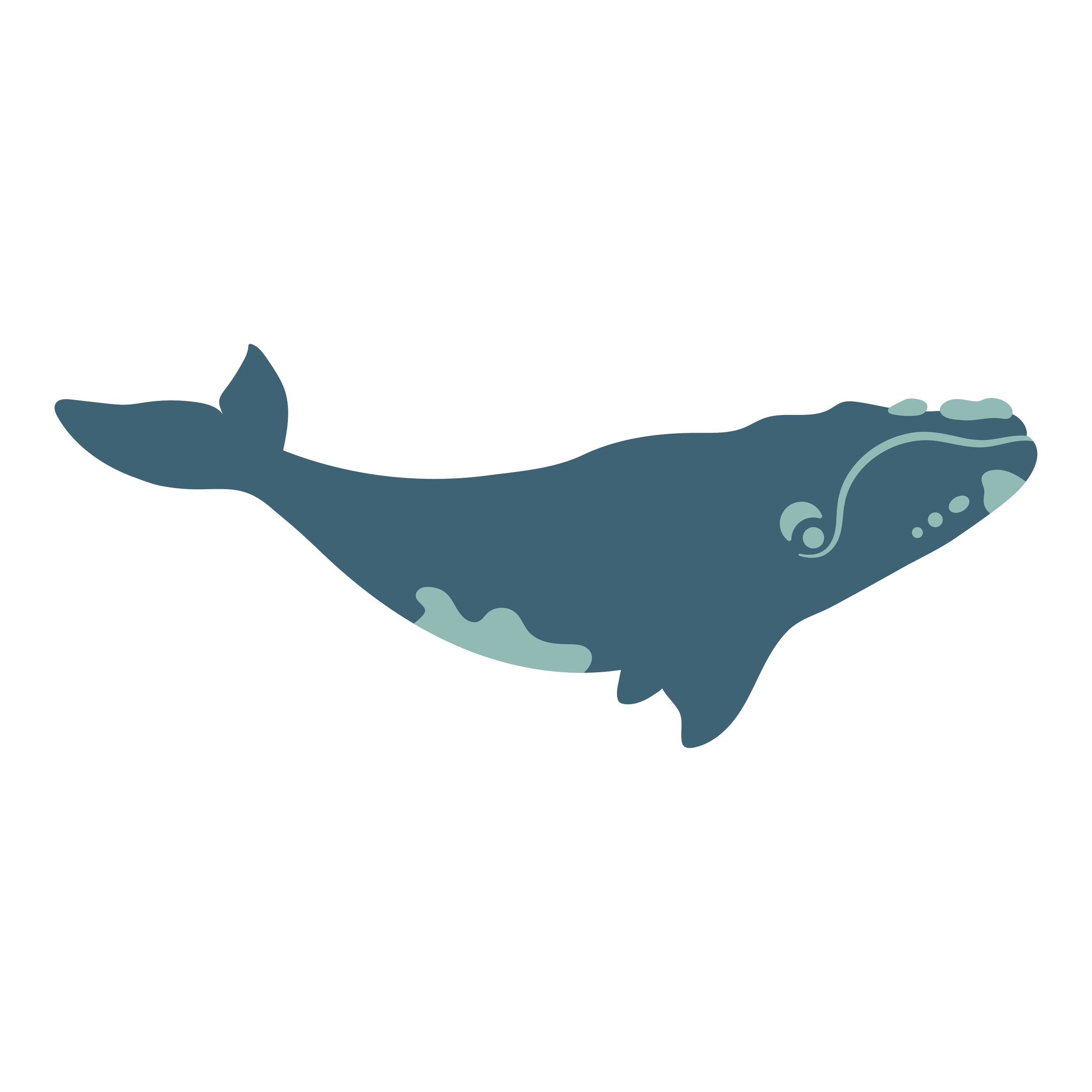V01_whale_icon.png