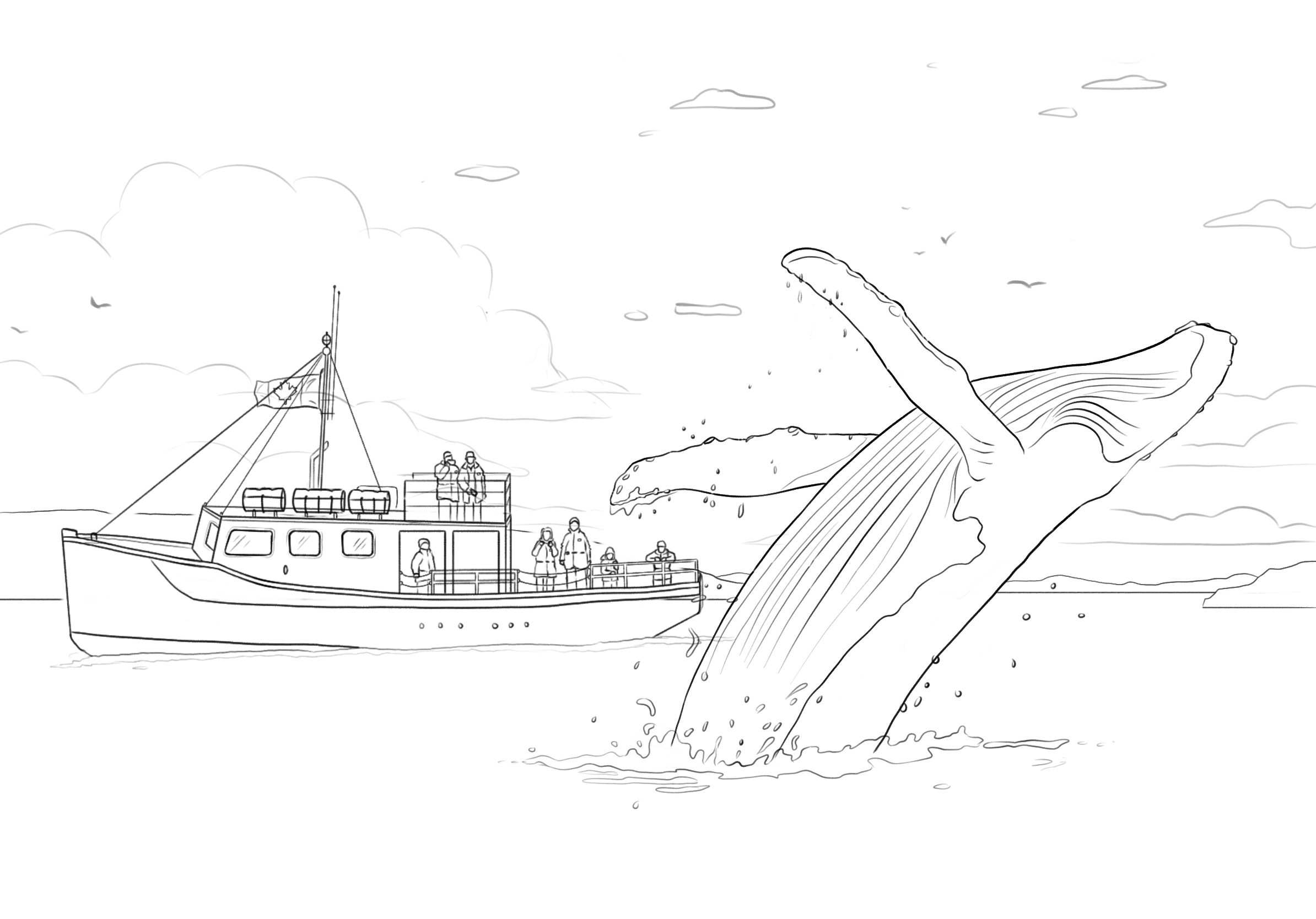 Whale_Watching_3.png
