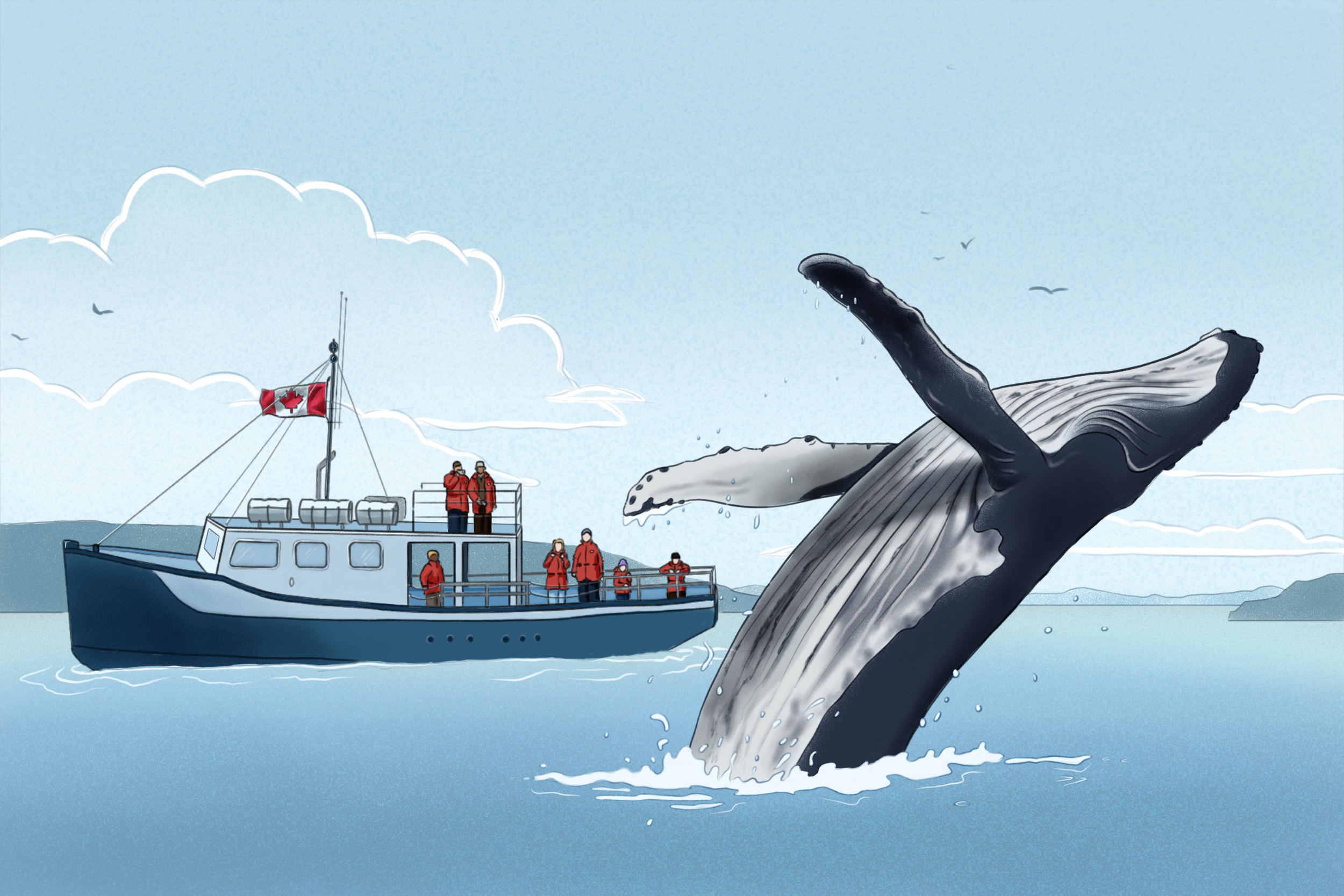 10_WhaleWatching_web_LJ.png