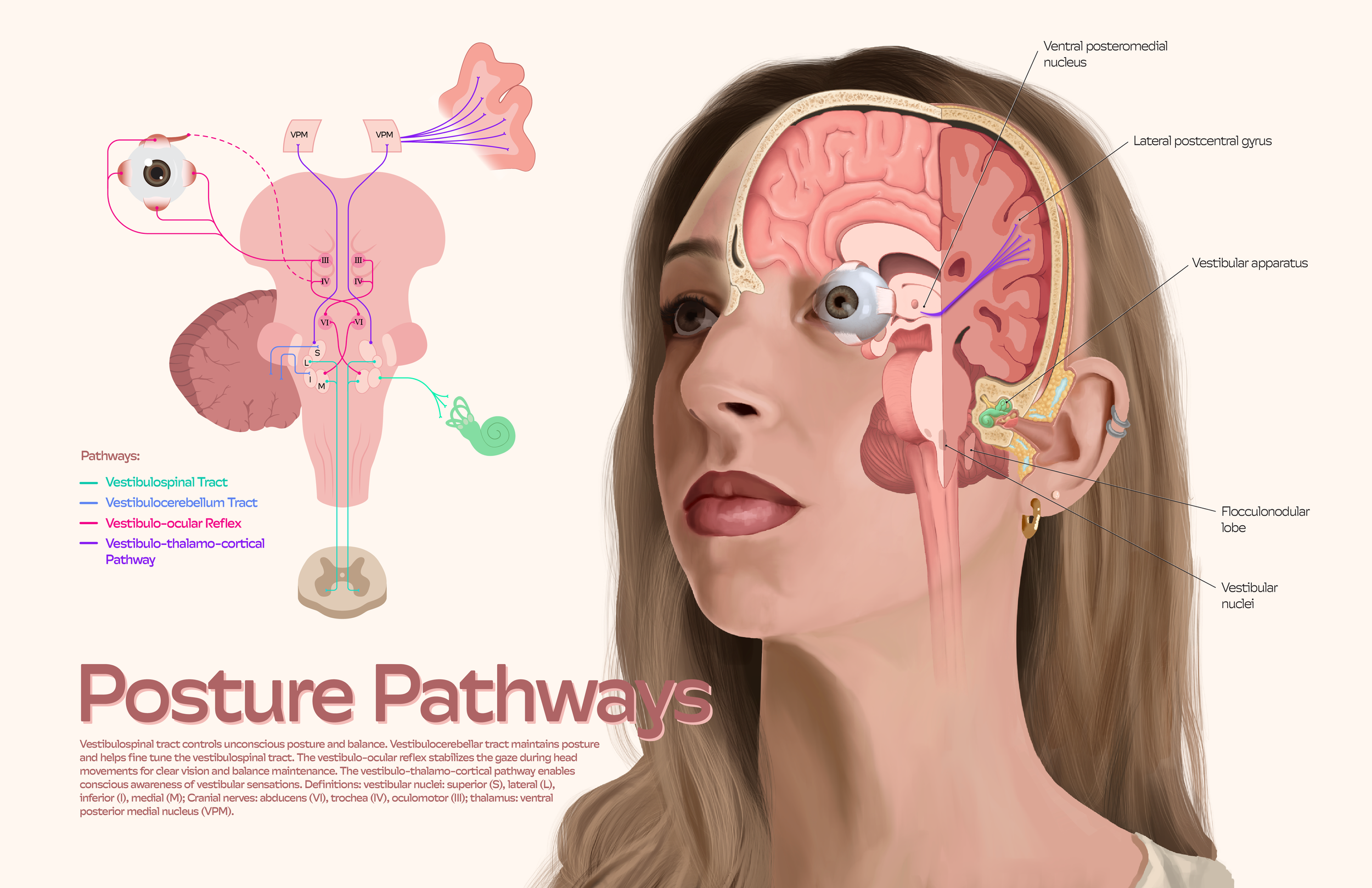 Jones_Lauren_PosturePathways.png