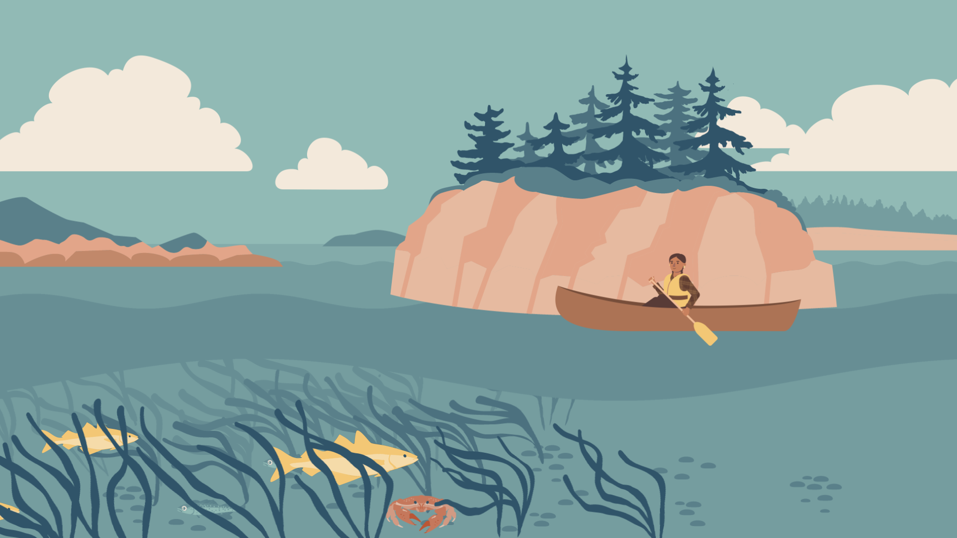 canoe_still_image.png