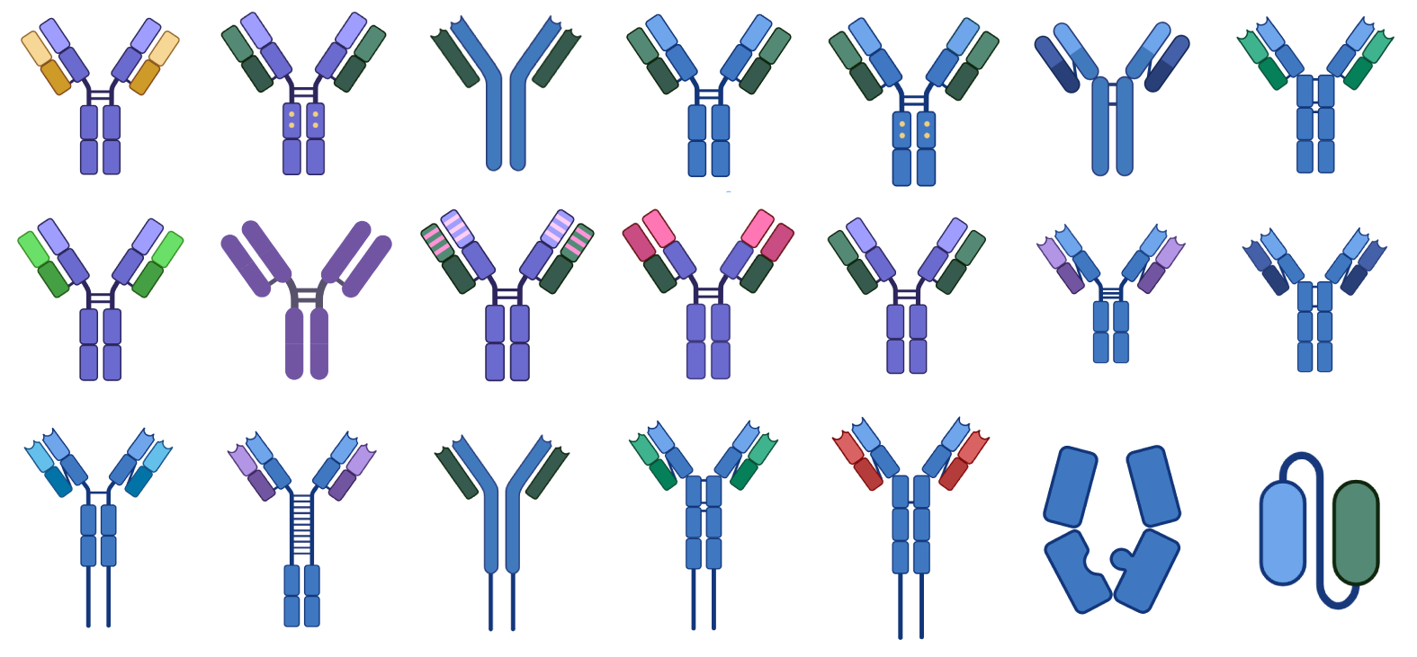 antibodies_compiled_wide.png