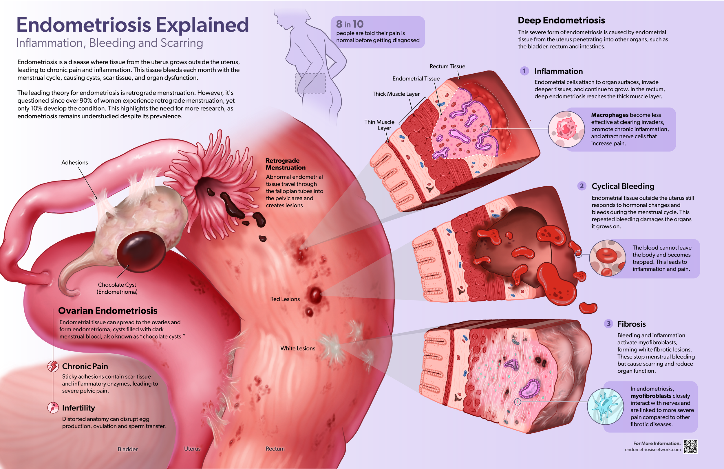 Pathology_v05.png