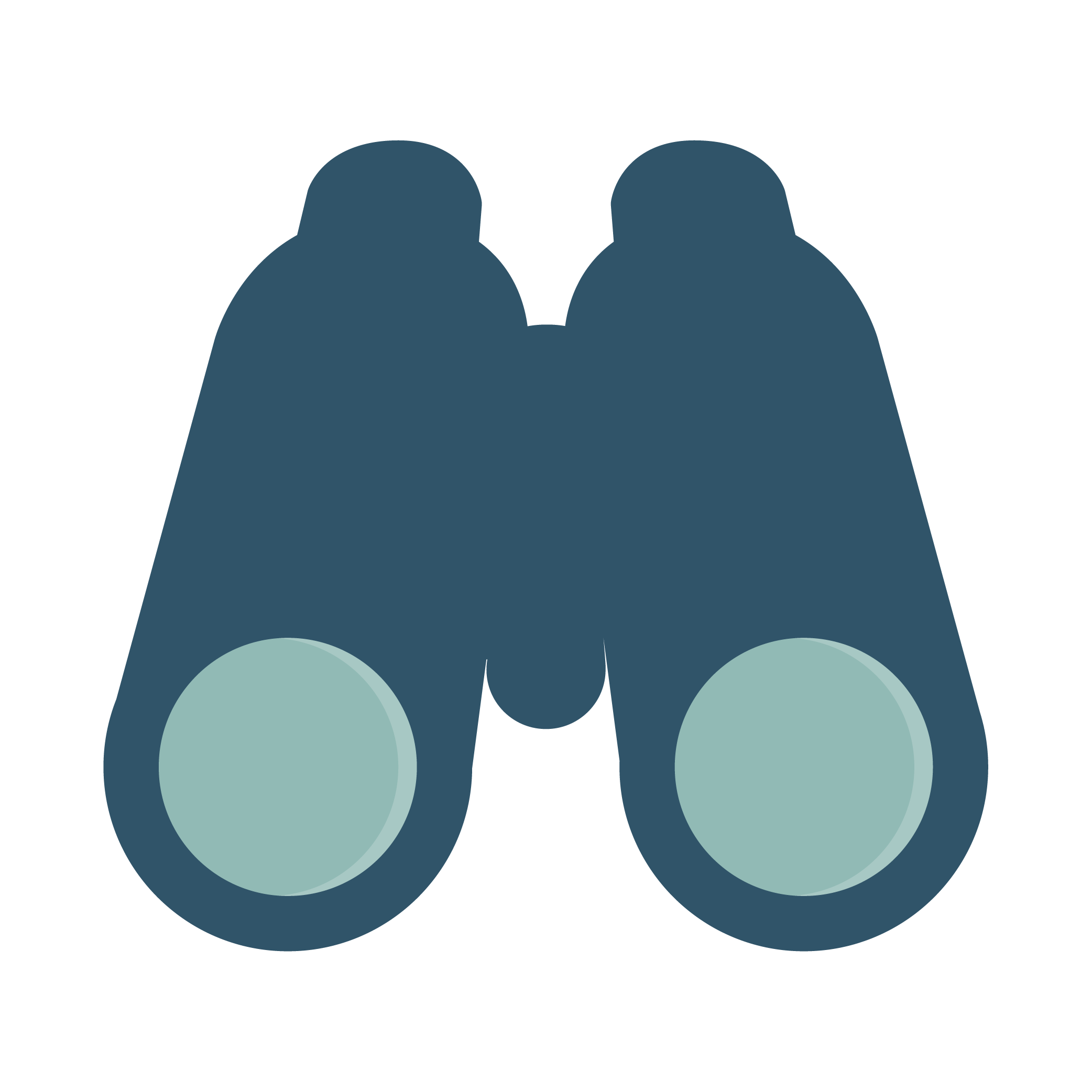 binoculars.png