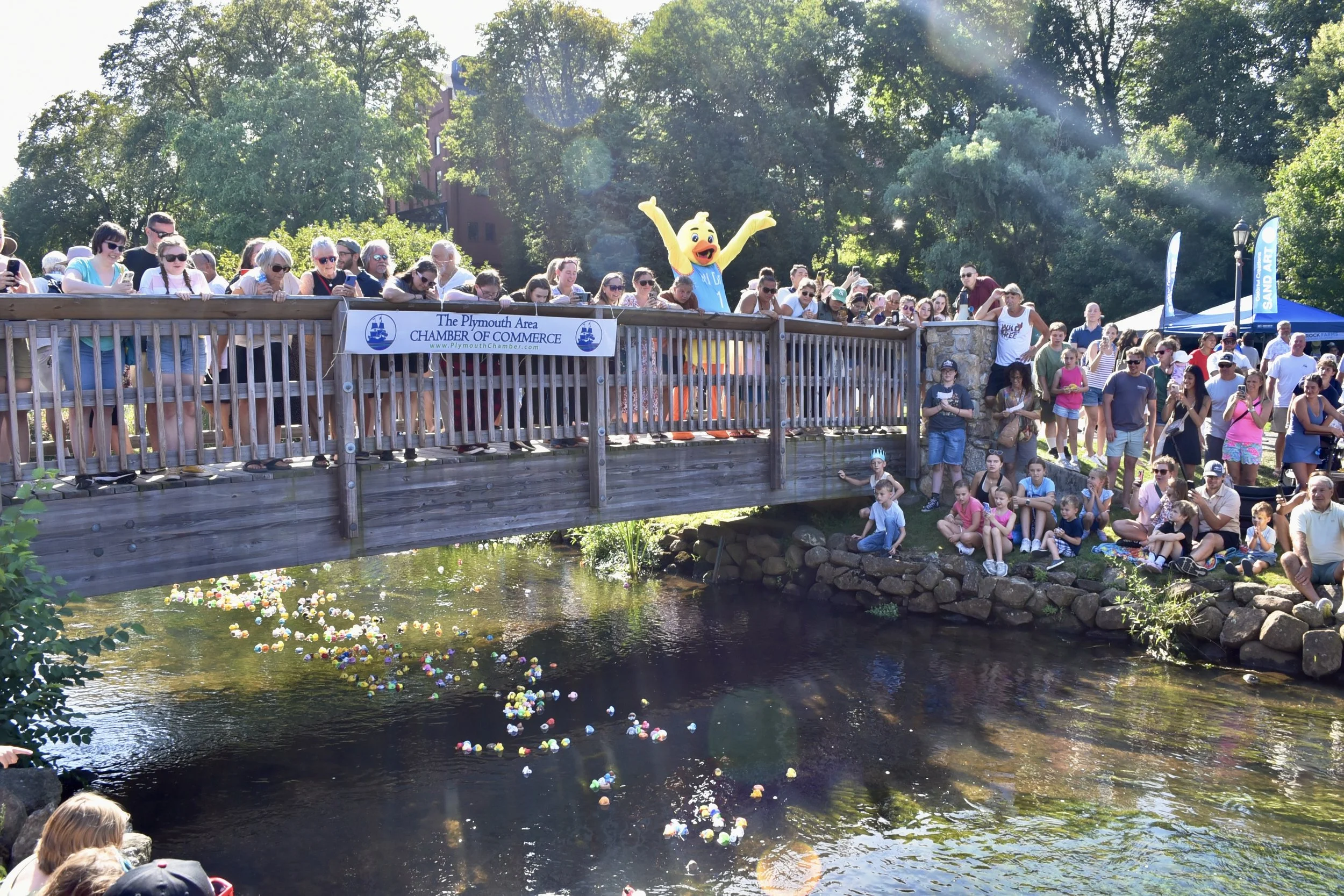 Waterfront Festival | Join the Celebration Today — Plymouth Area ...