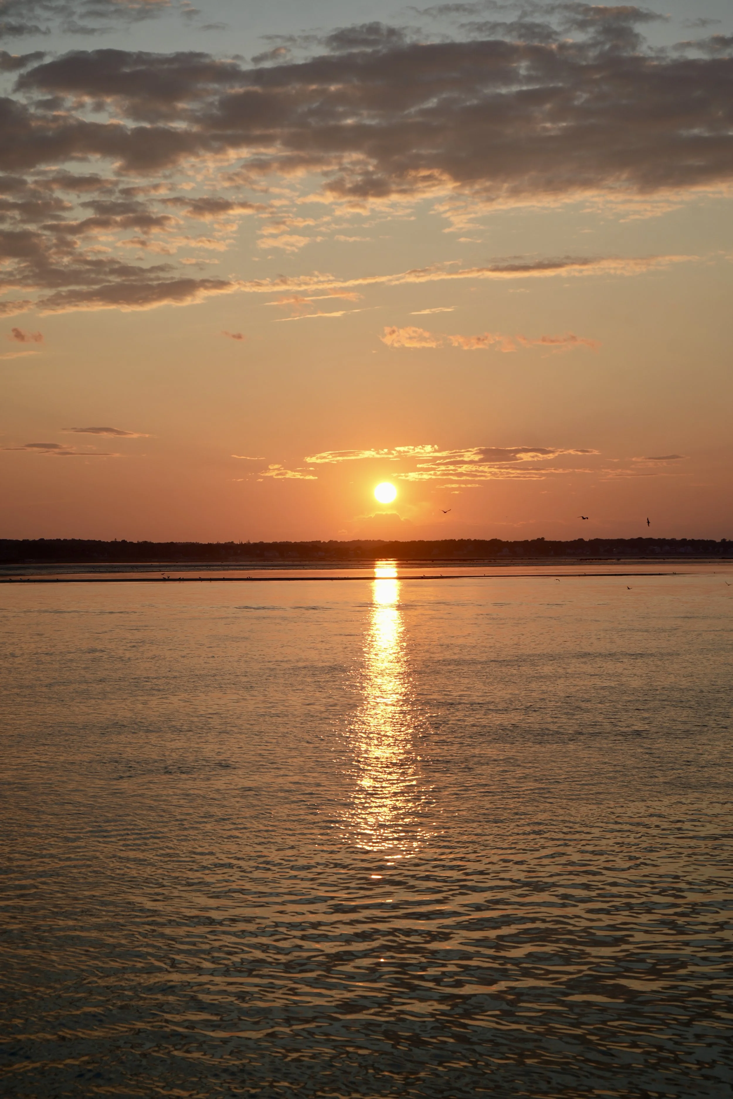 DSC07767.JPG