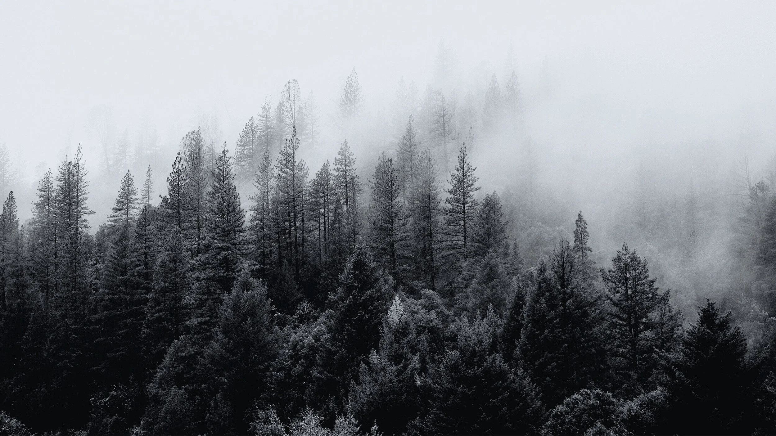 Maine Outdoor Enthusiast | Preserving Outdoor Traditions