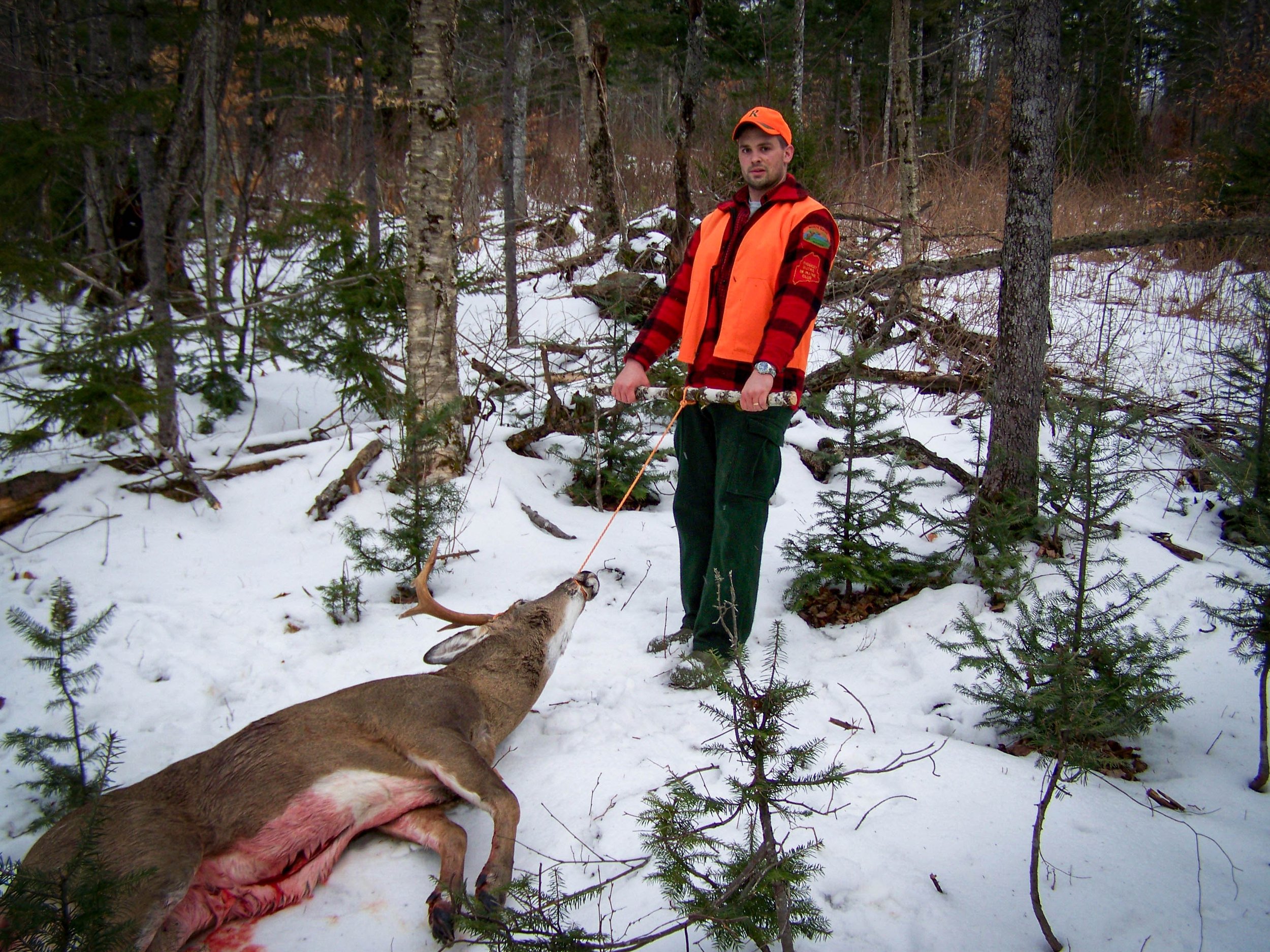 Deer Huny 08 007.jpg