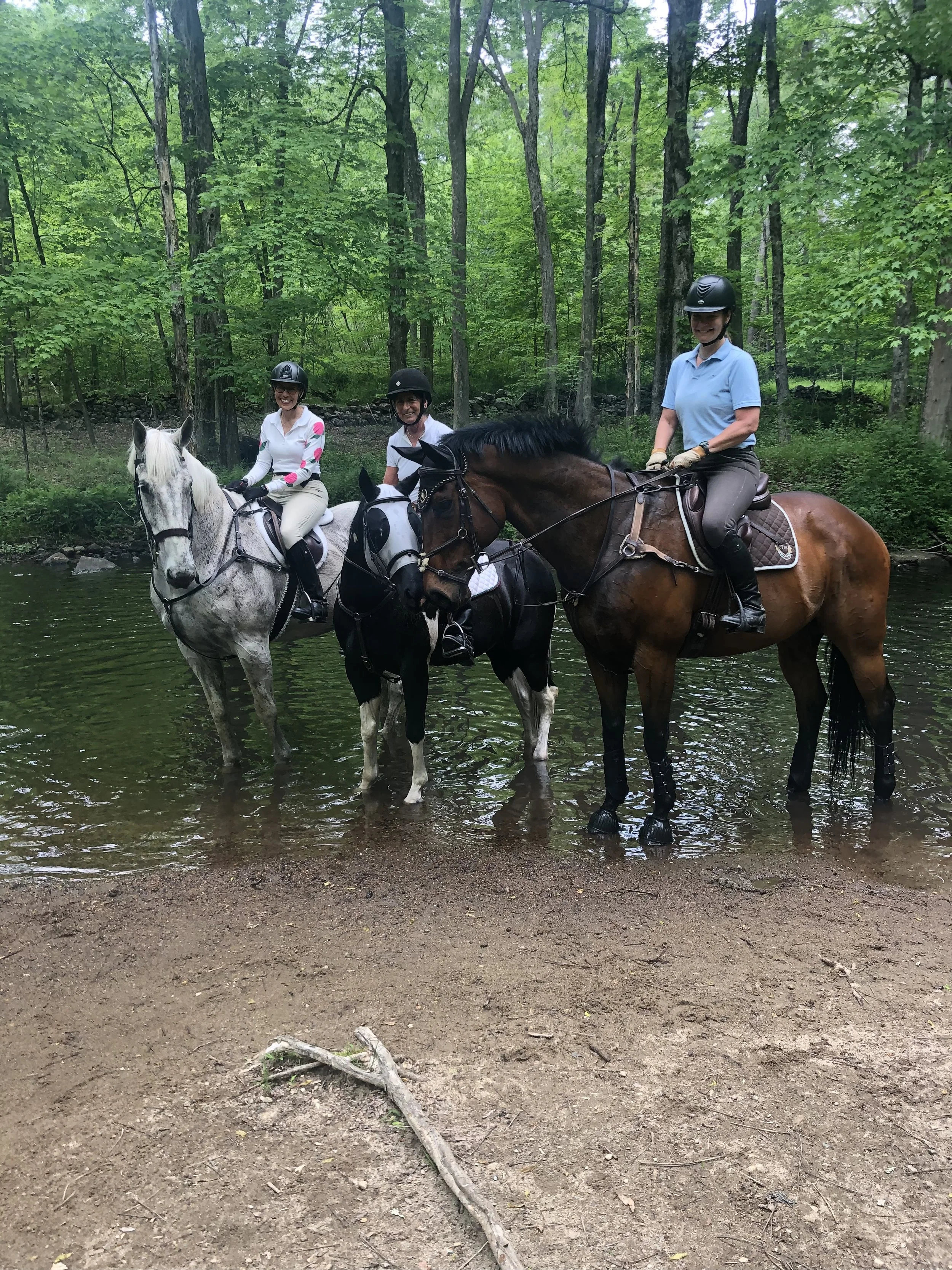 LHA Guided Trail Ride