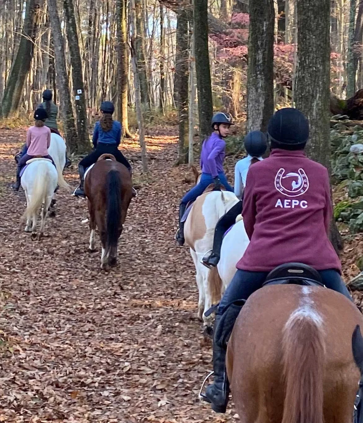 LHA Guided Trail Ride