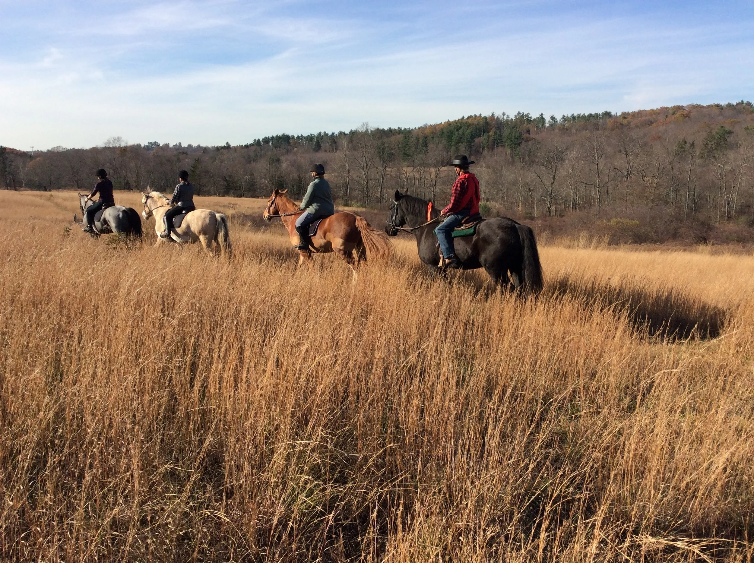 ward-pound-ridge-reservation-lewisboro-horsemens-association-new-york.JPG