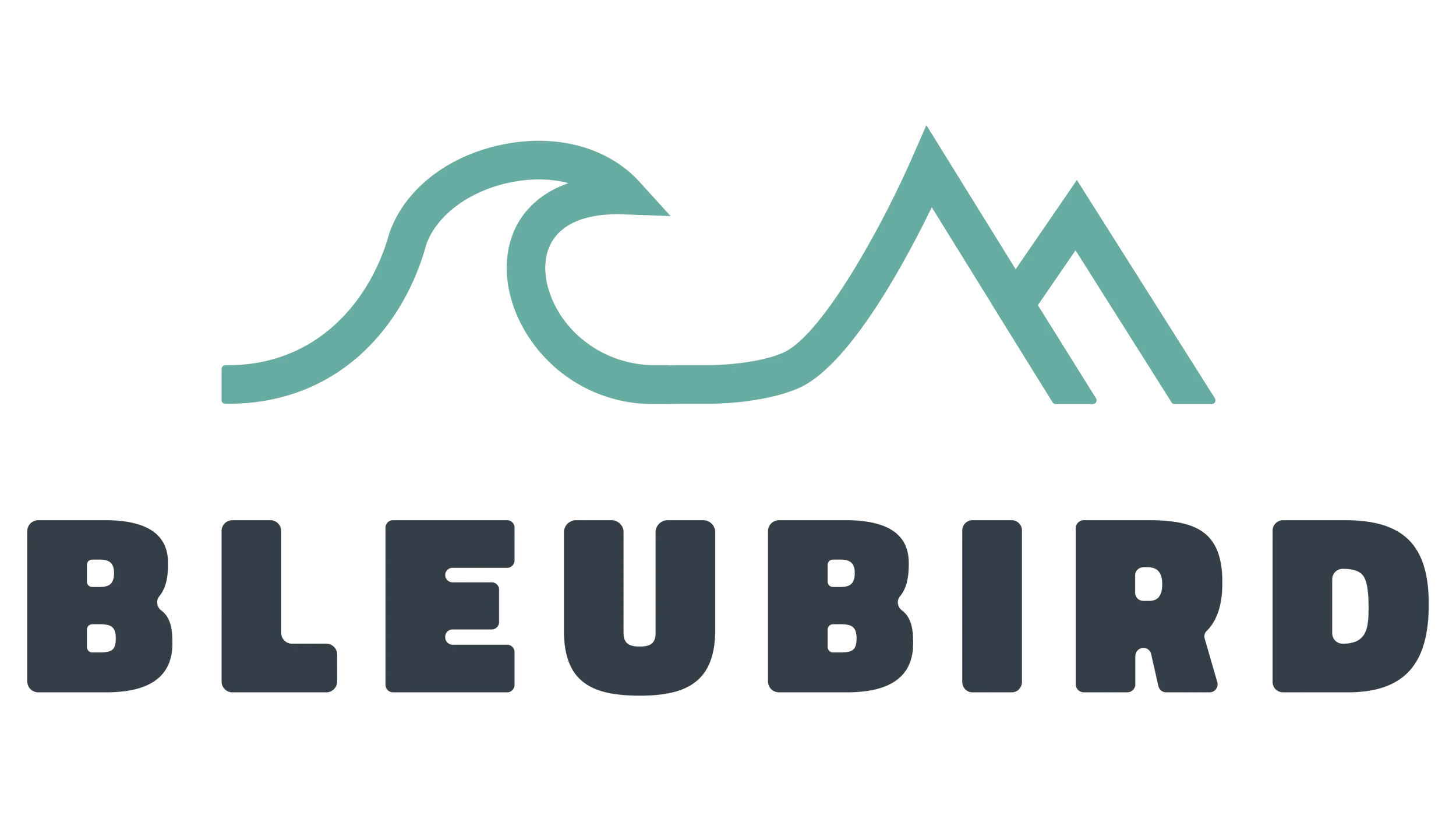 Logo with stylized mountain and wave icon above the words 'Bluebird'.