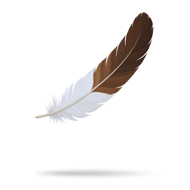 Powwow Etiquette: Leave Fallen Feathers