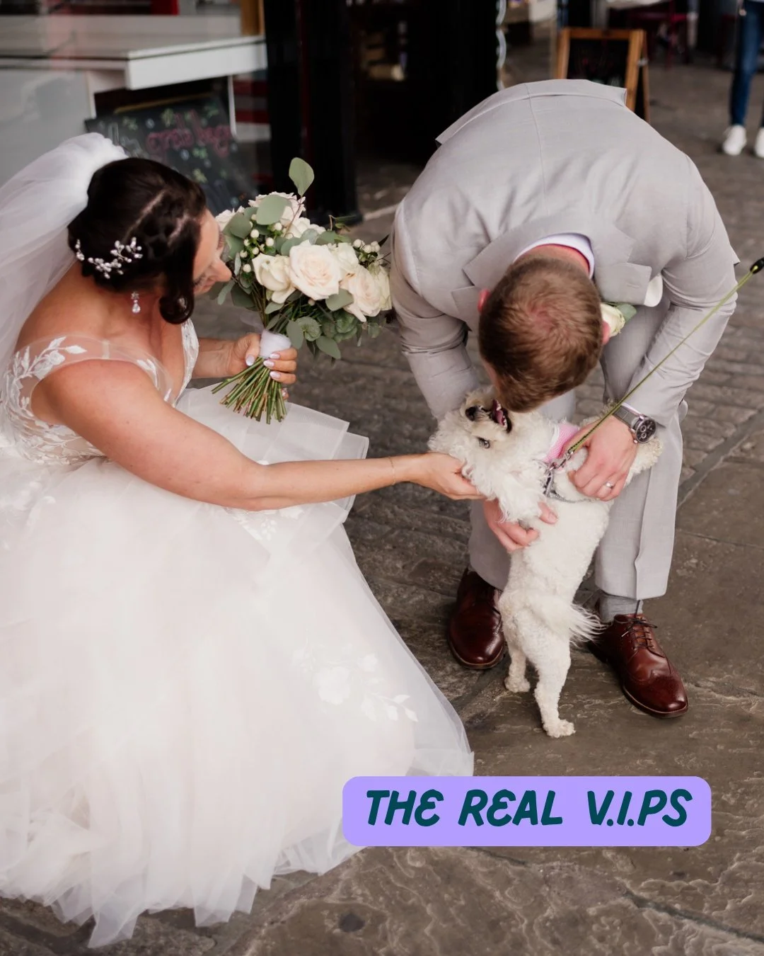 A Sunday appreciation post for the real VIPs of any wedding day: the dogs.

I will never, ever get over a wedding dog. Whether they're trotting down the aisle with the rings, getting smothered in cuddles during the drinks reception or looking deeply 