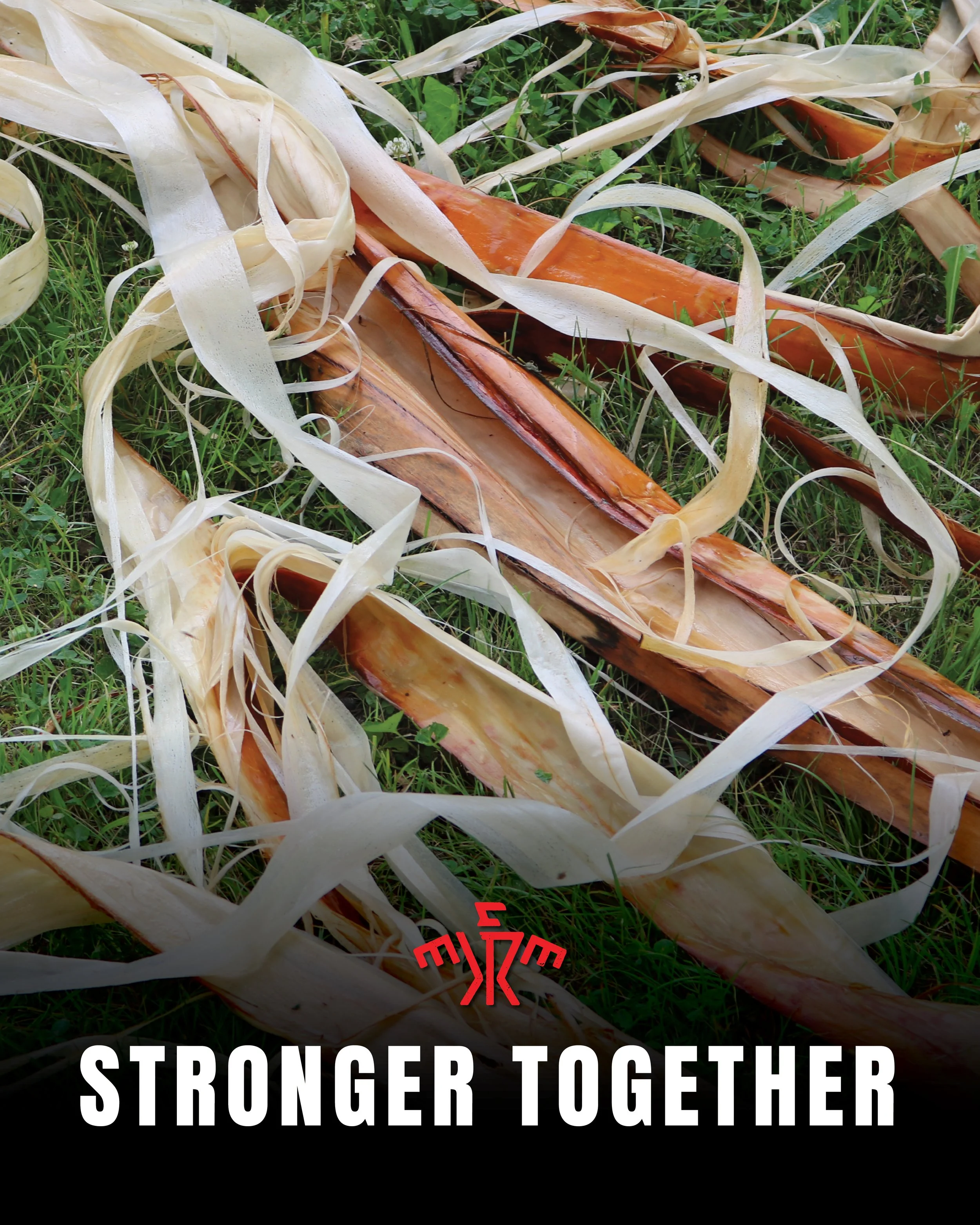 Stronger Together