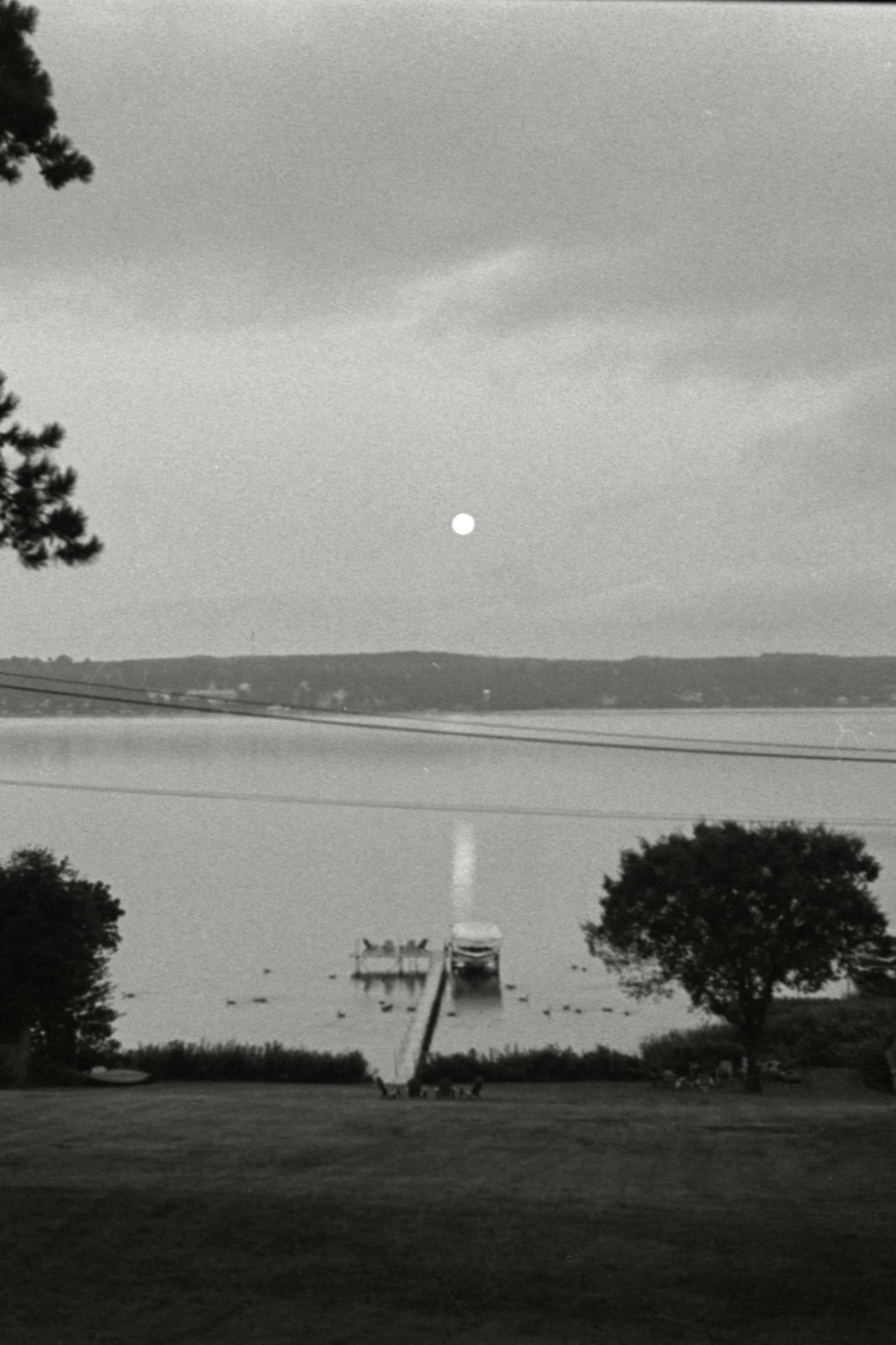 202600829-TRI-X400_09.jpeg