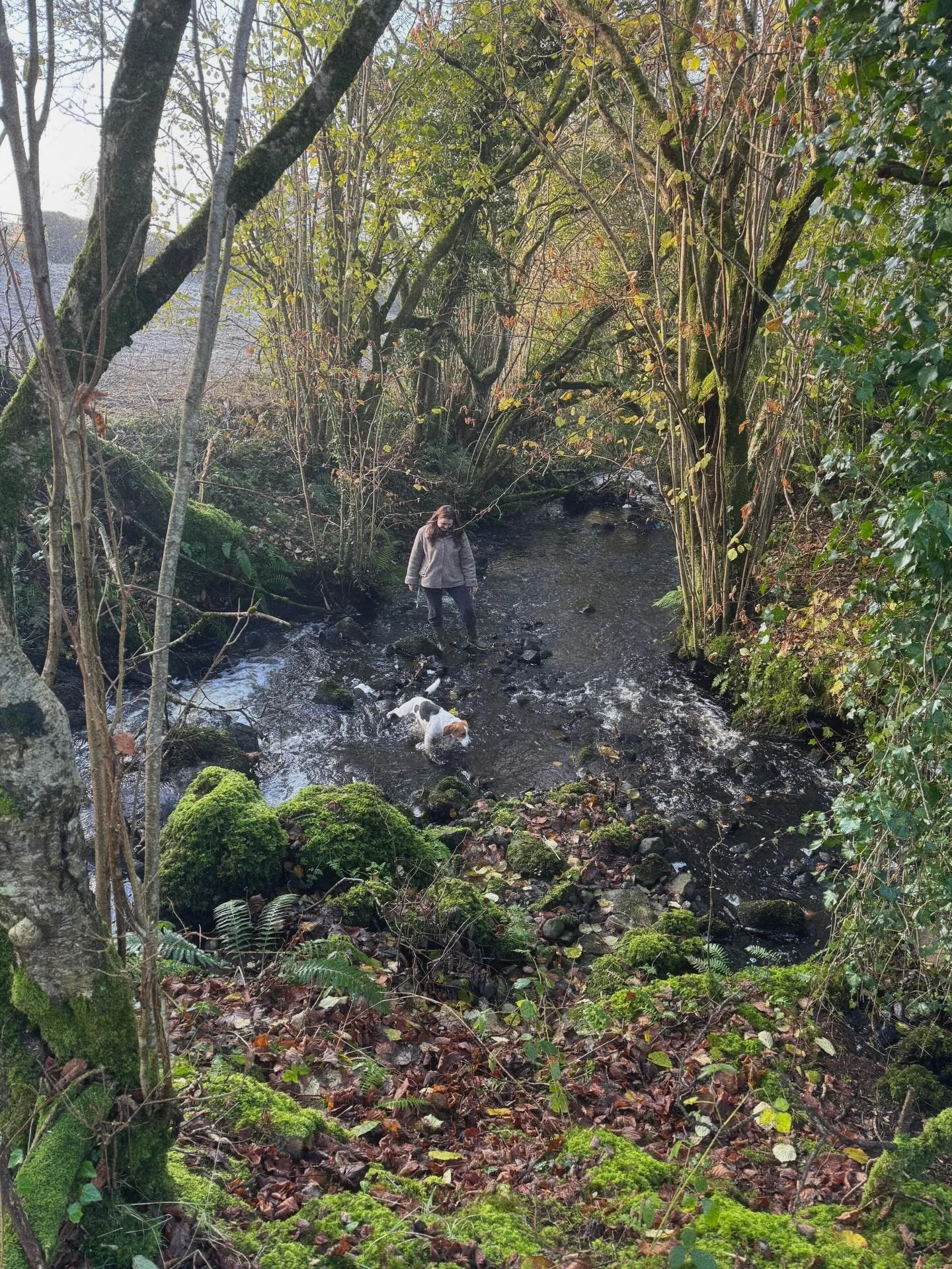 If we look at the world through the eyes of our inner child, we will see that magic is everywhere ✨