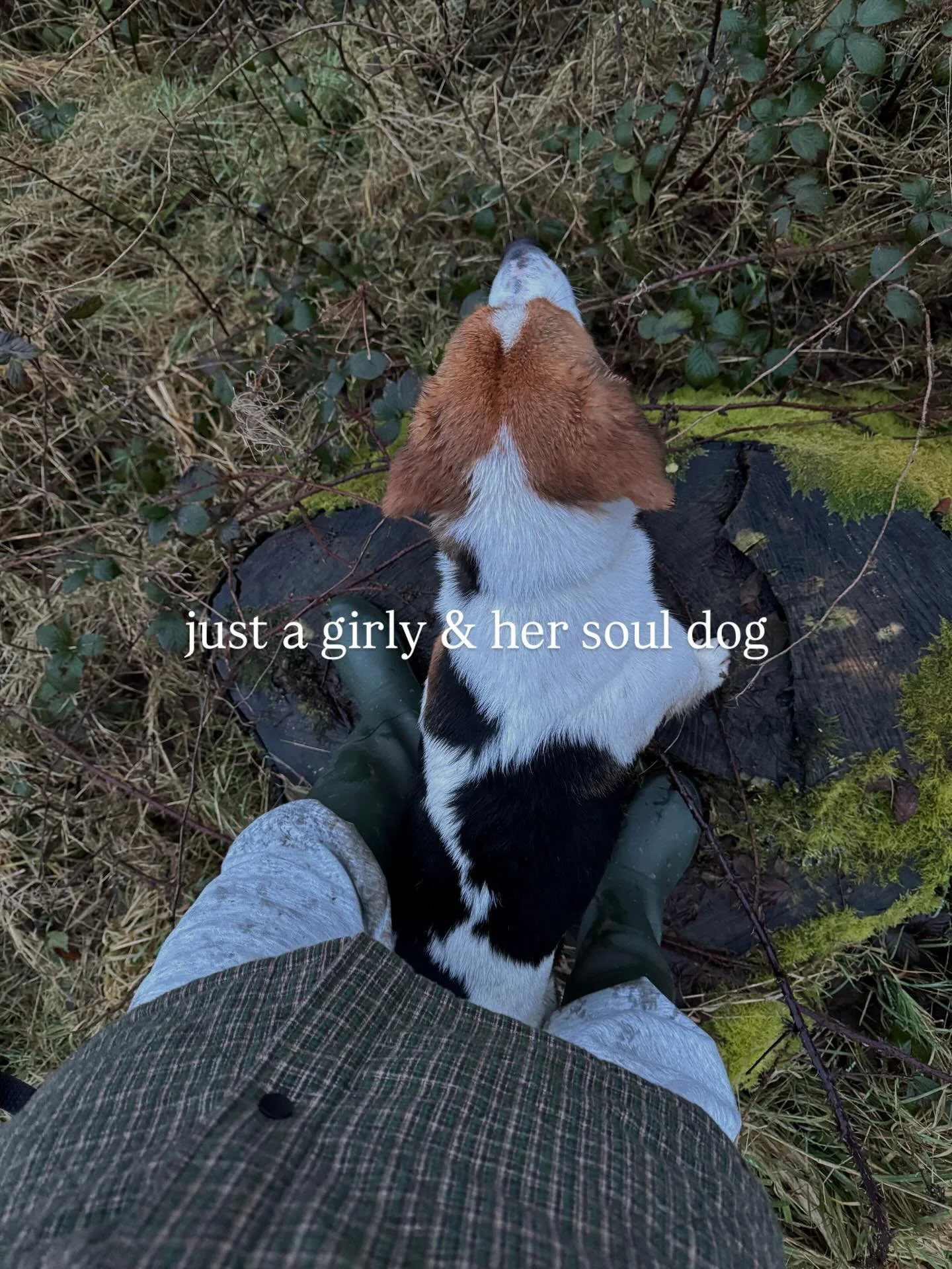 Asking the forest to bless the week ahead 🌲