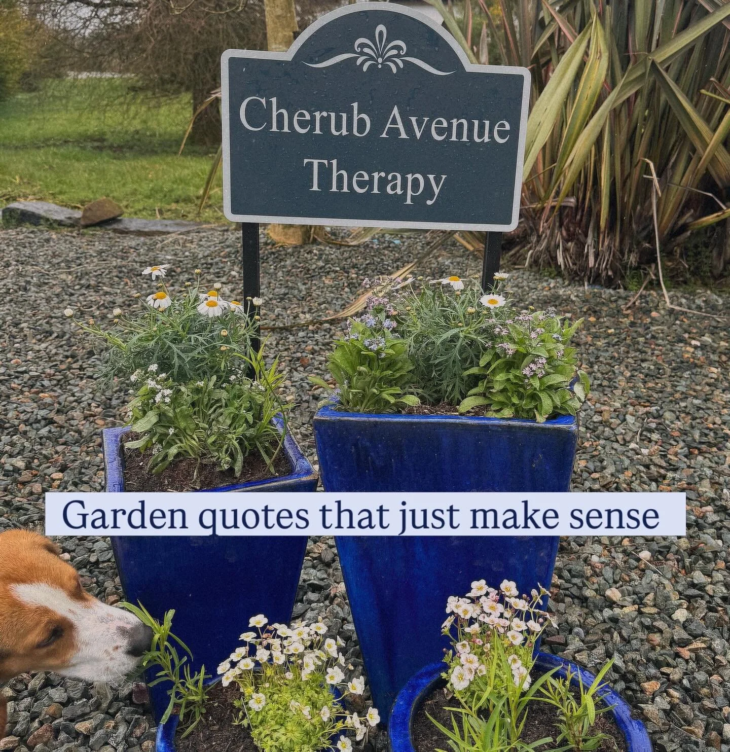 ft my new sign 🐶🌸🪽