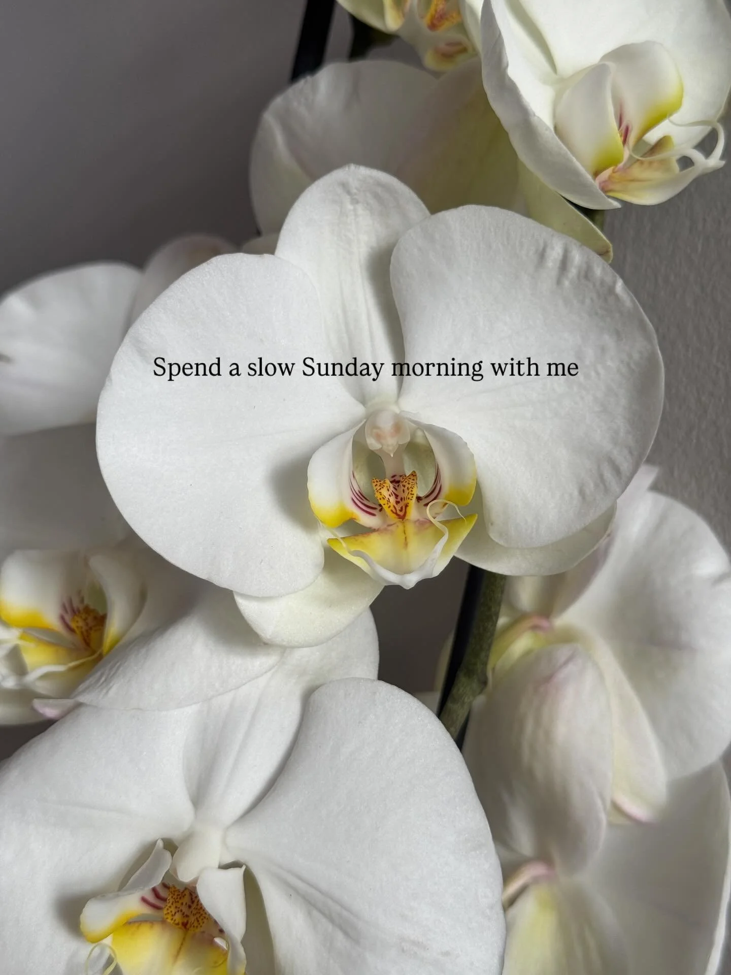 Sundays are a favourite 🙂&zwj;&harr;️