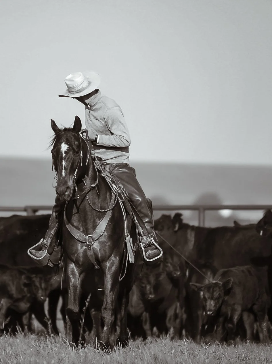Ranch Roping Clinic