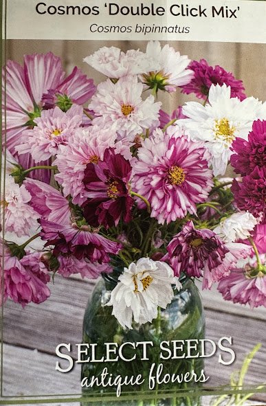 Cosmos Seed Pack.jpg