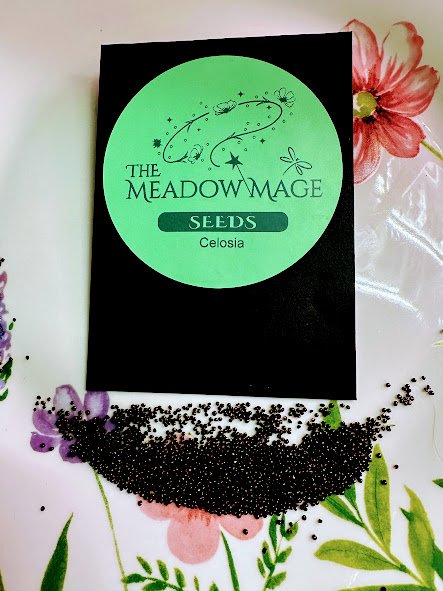 Scattered Celosia Seeds.jpg