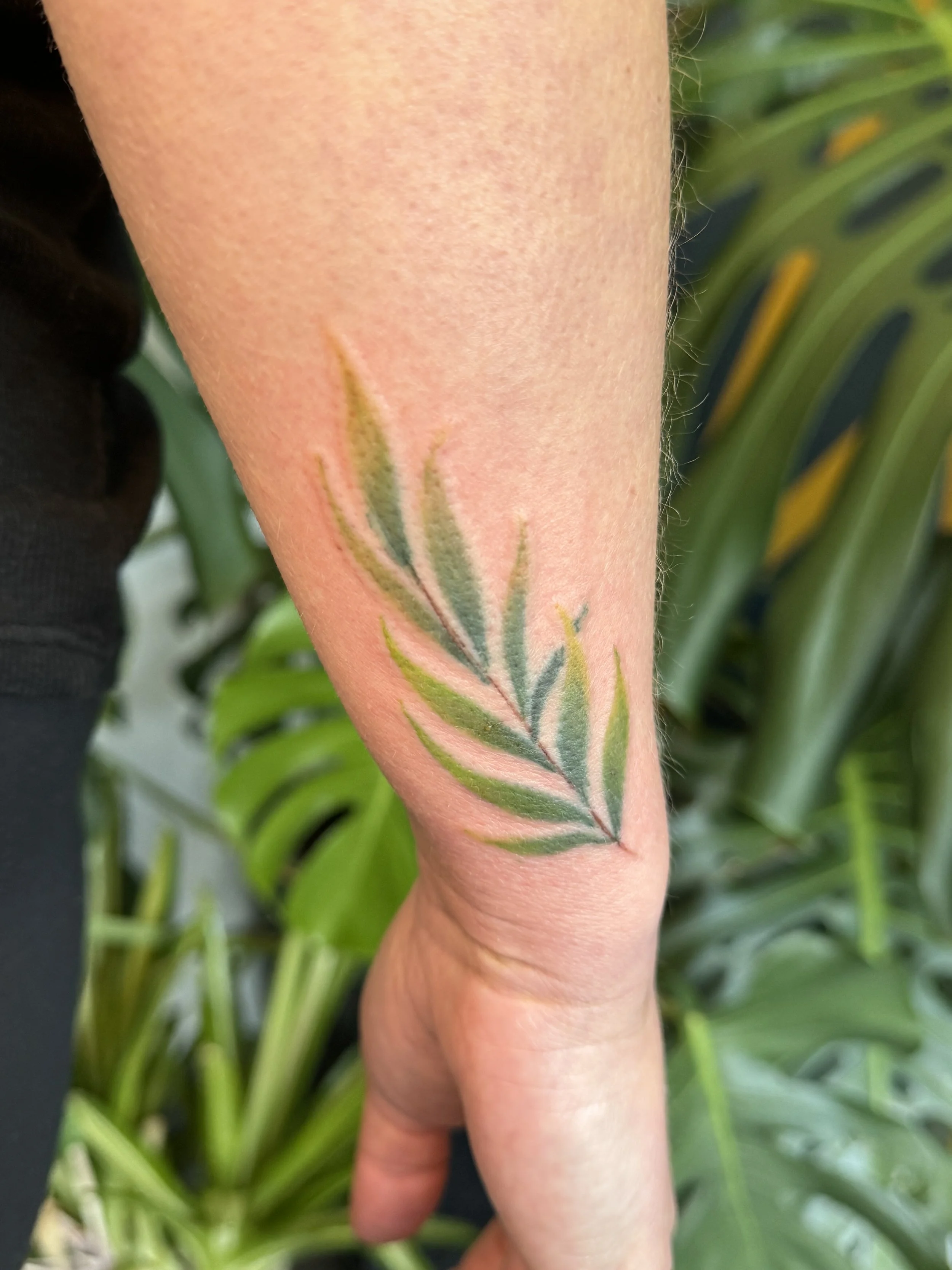 2024-09-13 12.30.36.JPG