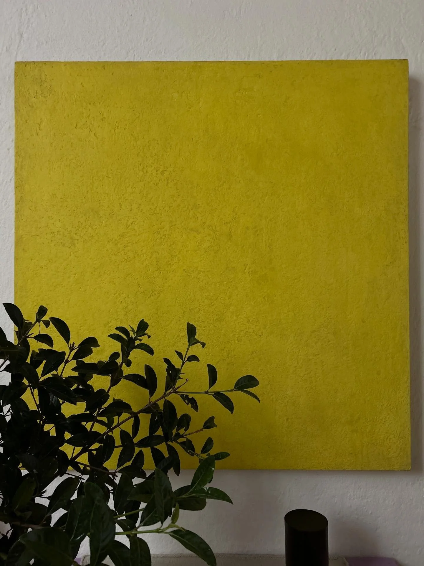 Life inside a snow globe