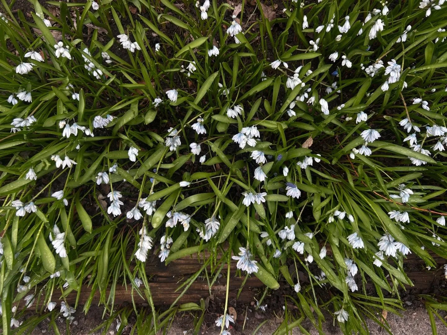 &deg;❀.ೃ࿔* April showers &deg;❀.ೃ࿔*