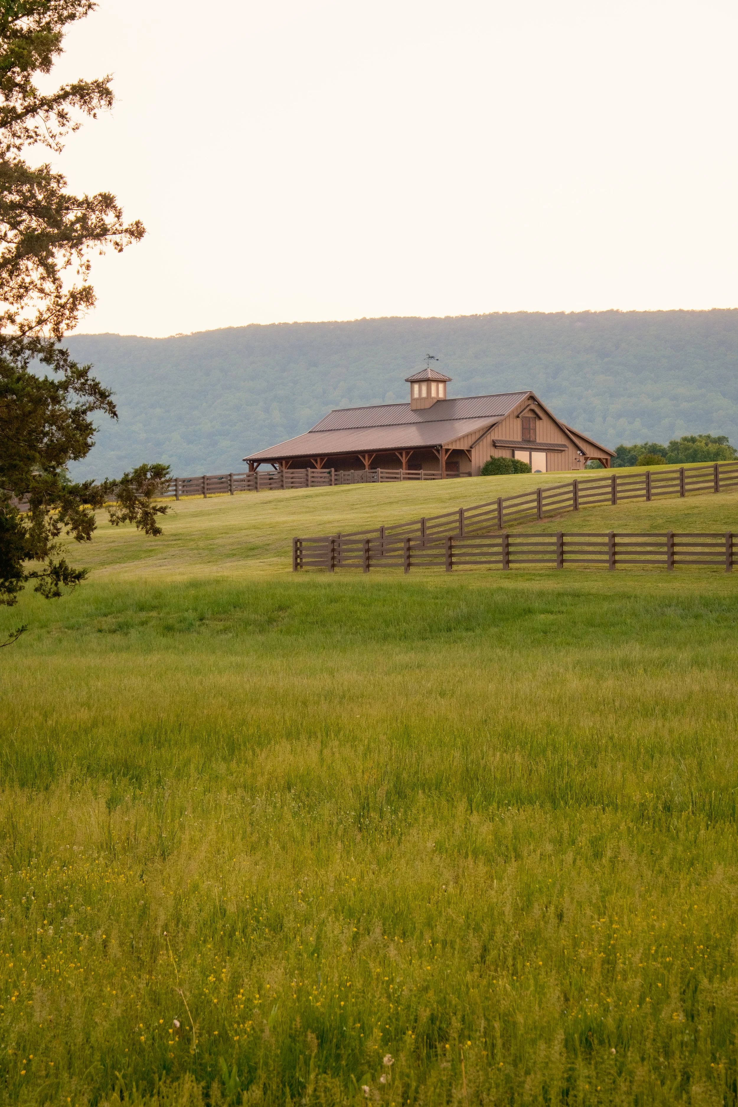 White Oaks Ranch-3.jpg