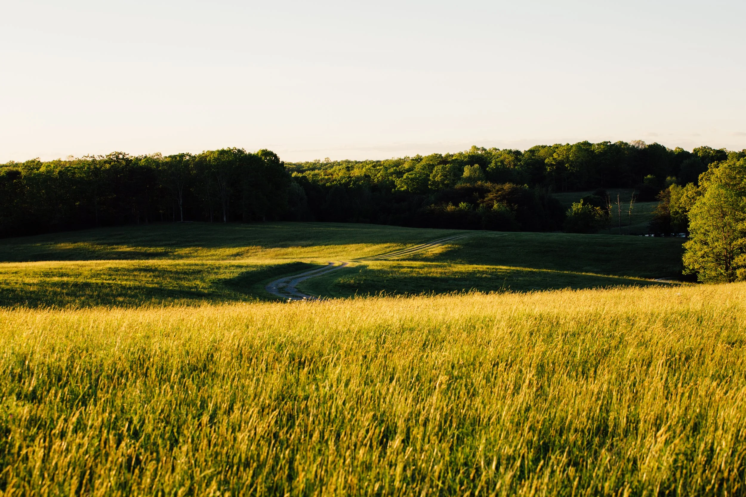 Lookout Mountain Pasture