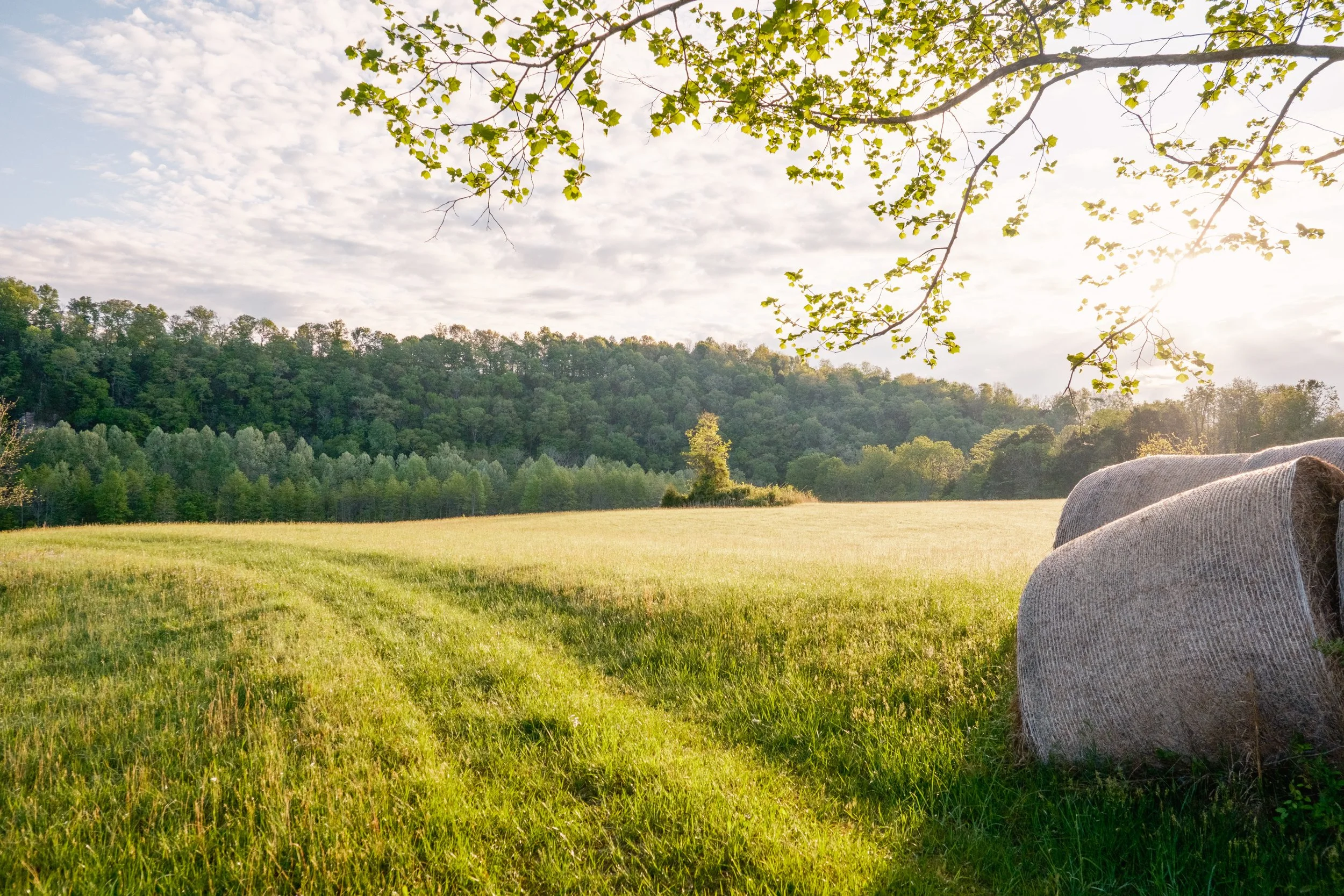 Little Barren Bend-5.jpg