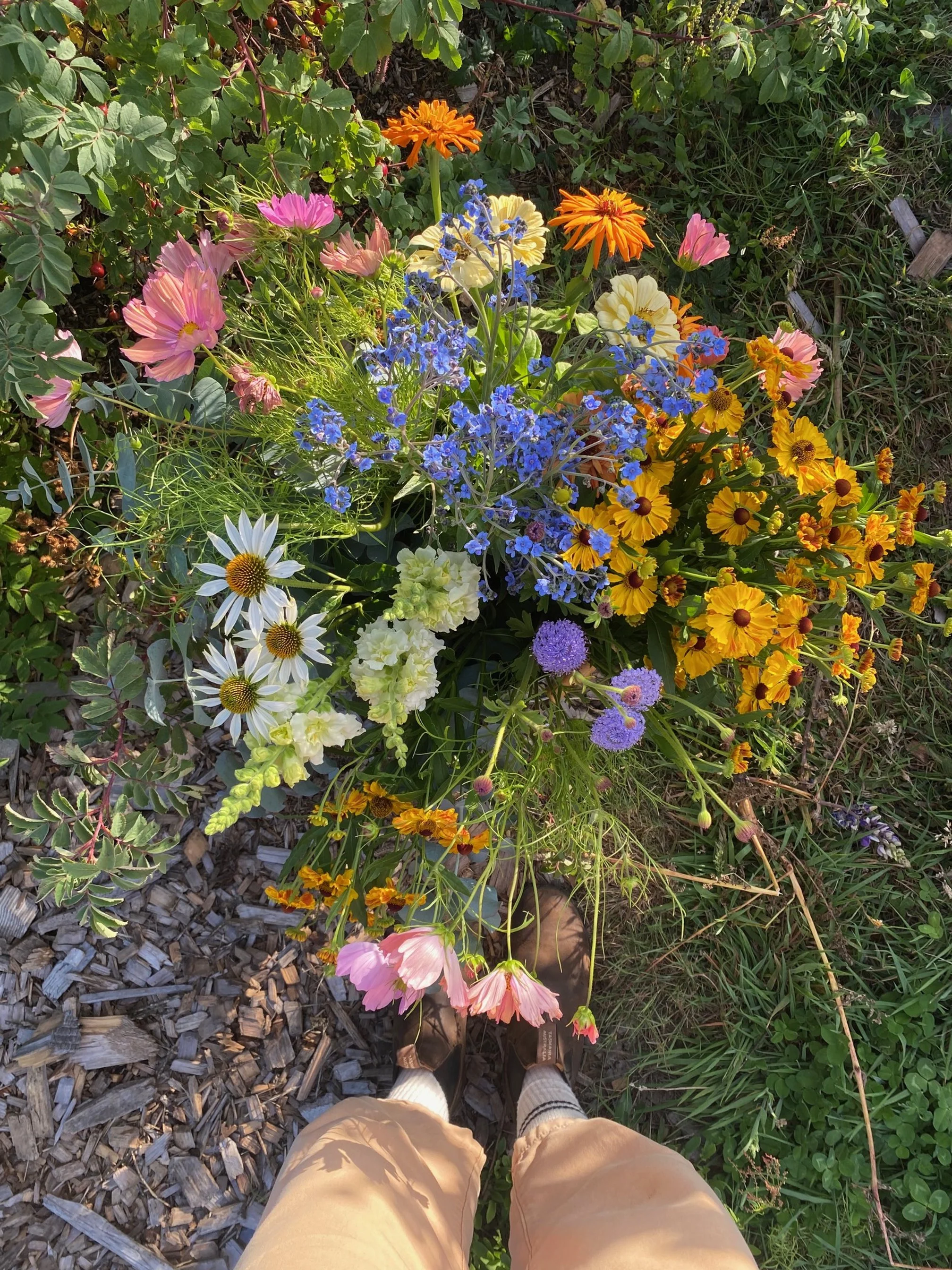 Colorful bouquet of various flowers including pink cosmos, white daisies, orange and yellow coreopsis, purple scabiosa, blue forget-me-nots, and cream snapdragons, viewed from above with a person's legs in tan pants and brown shoes at the bottom of t