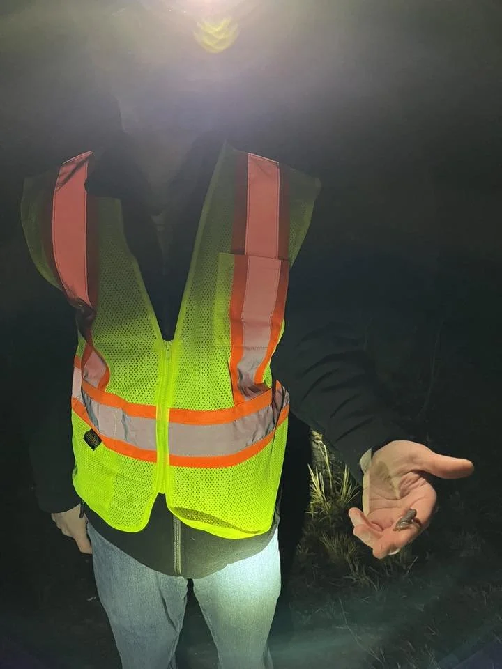 volunteer with frog.jpg