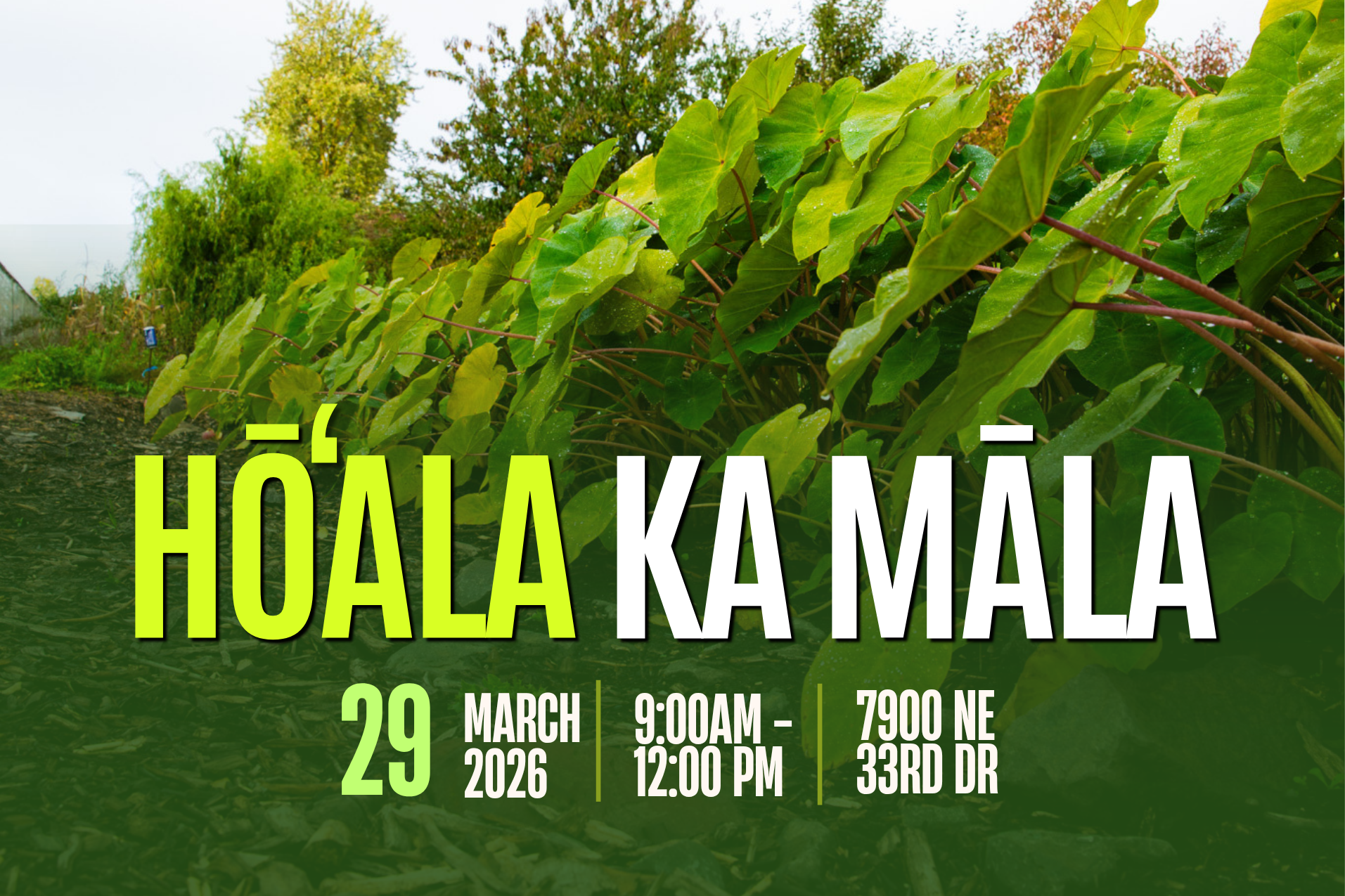 Hōʻala Ka Māla - Wake Up The Māla