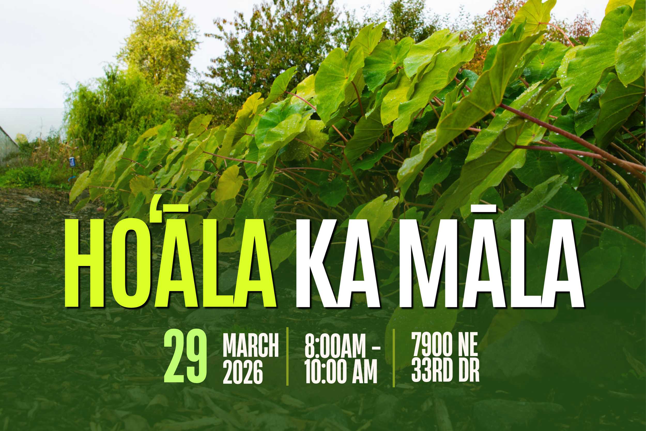 Hoʻāla Ka Māla - Wake Up The Māla