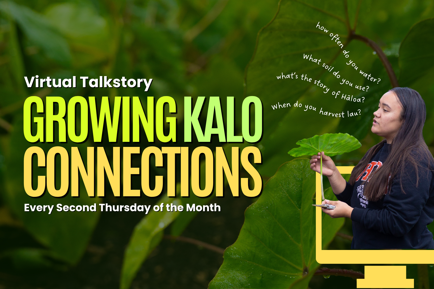 Growing Kalo Connections