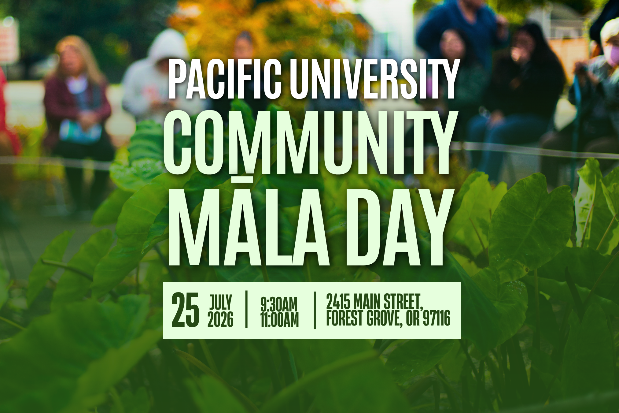 Pacific Boxer Māla Day