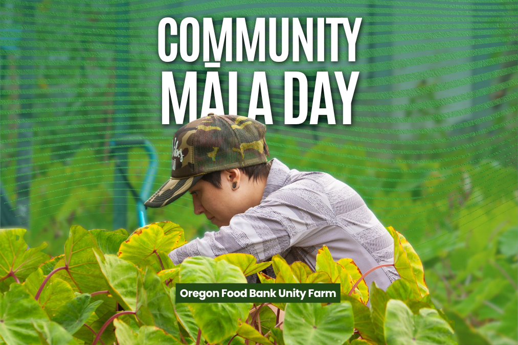Unity Farm Māla Day