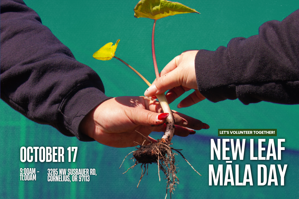 New Leaf Māla Day