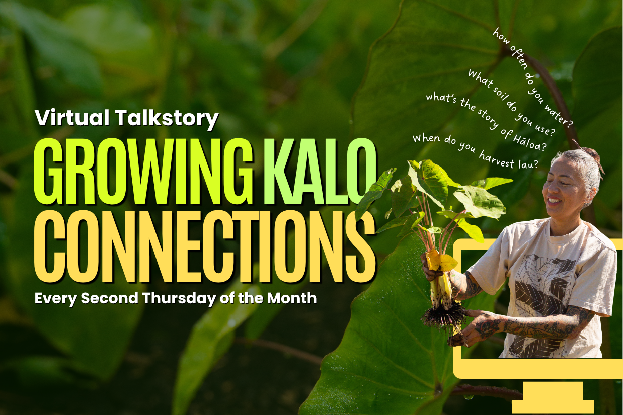 Growing Kalo Connections: Virtual Talkstory