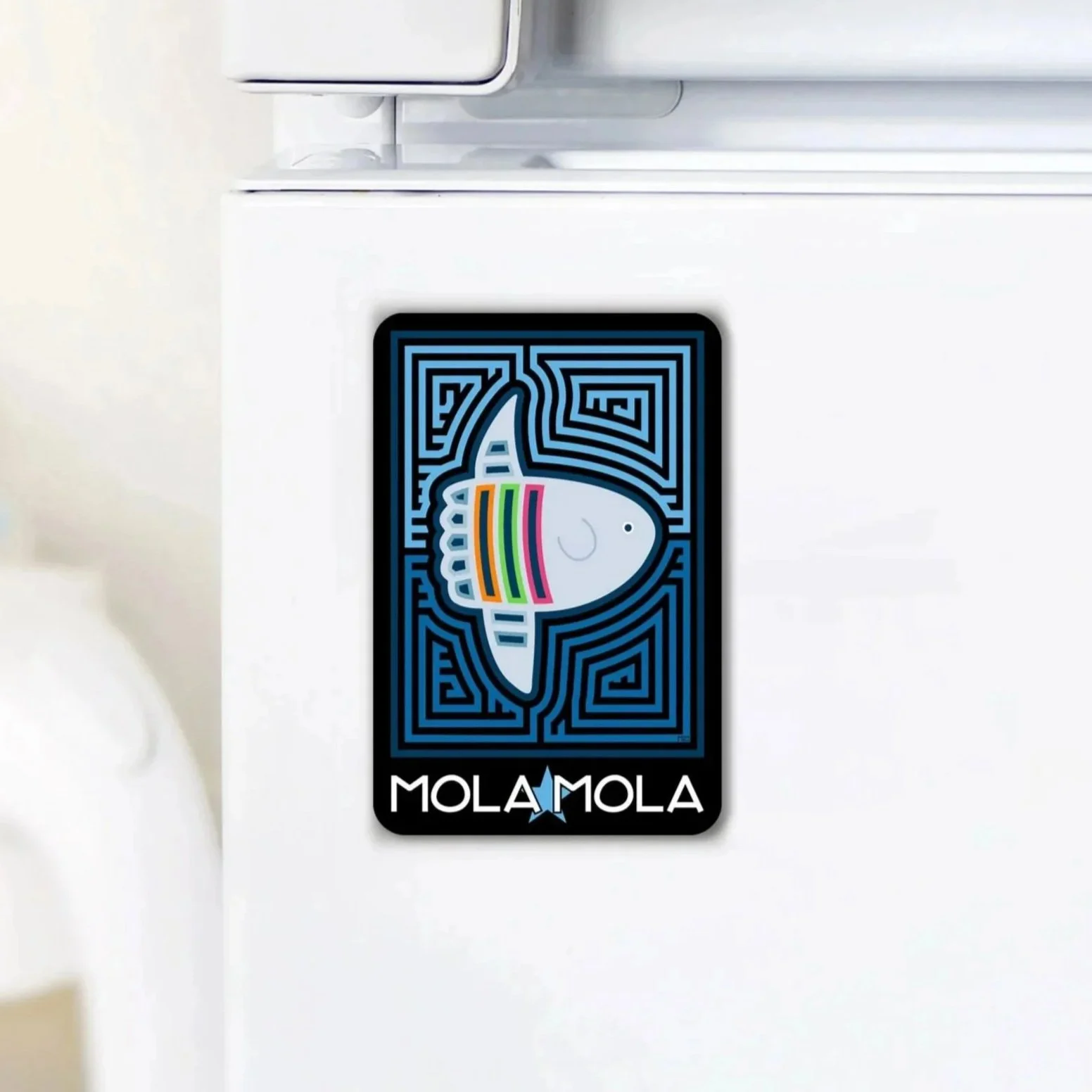 2x3-Magnets_Molafish.jpg