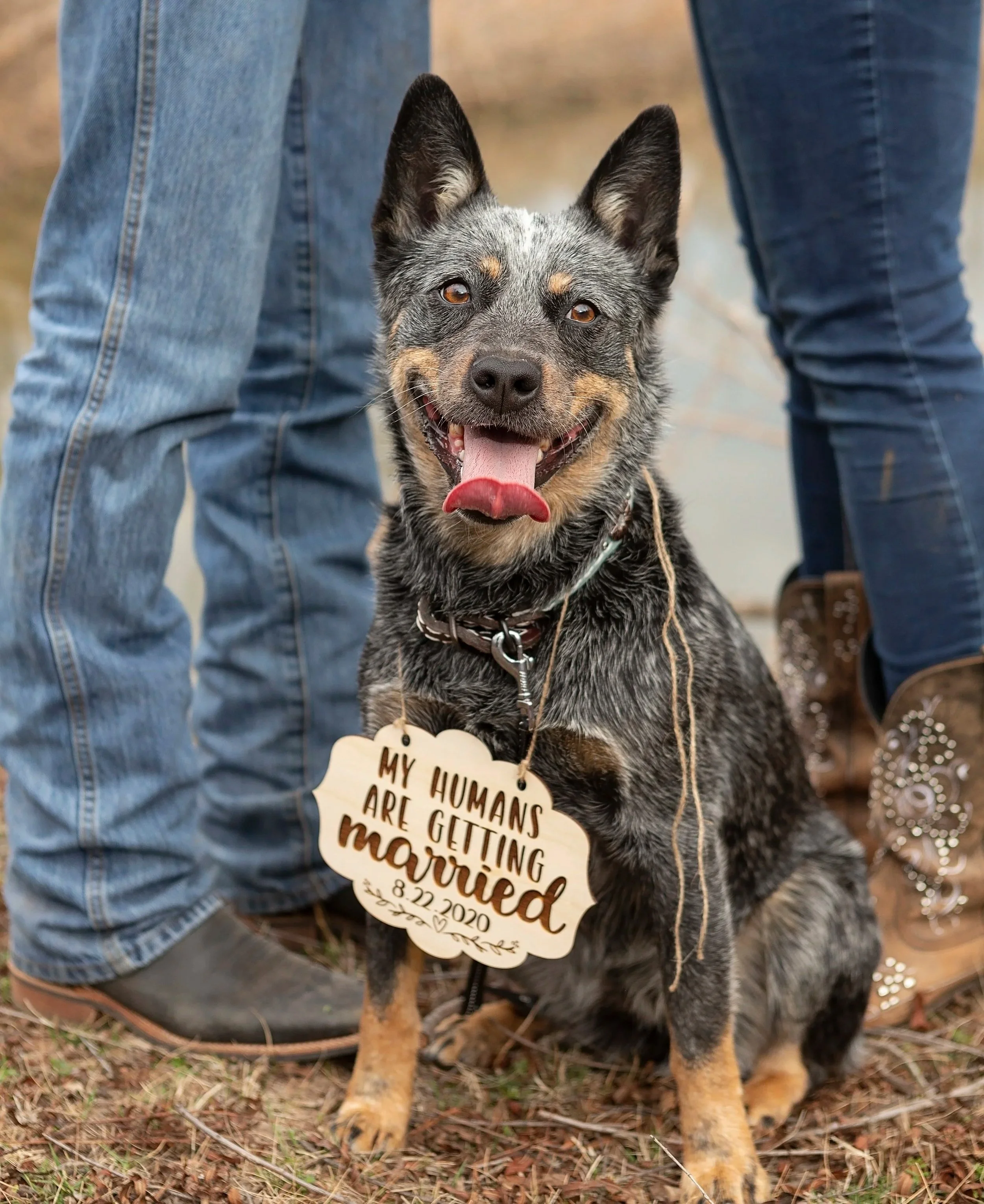 Engagement session with dogs are encouraged!
